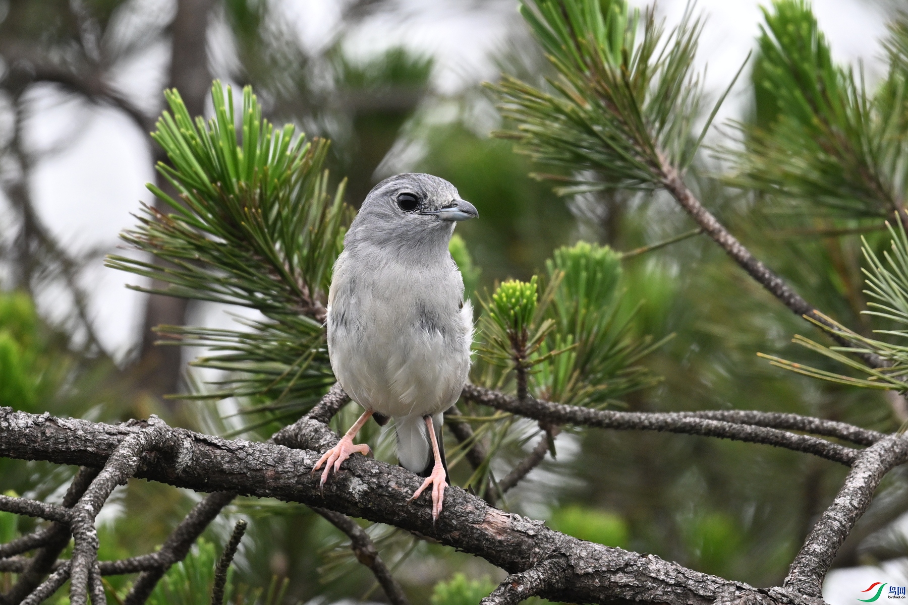DSC_0747.JPG