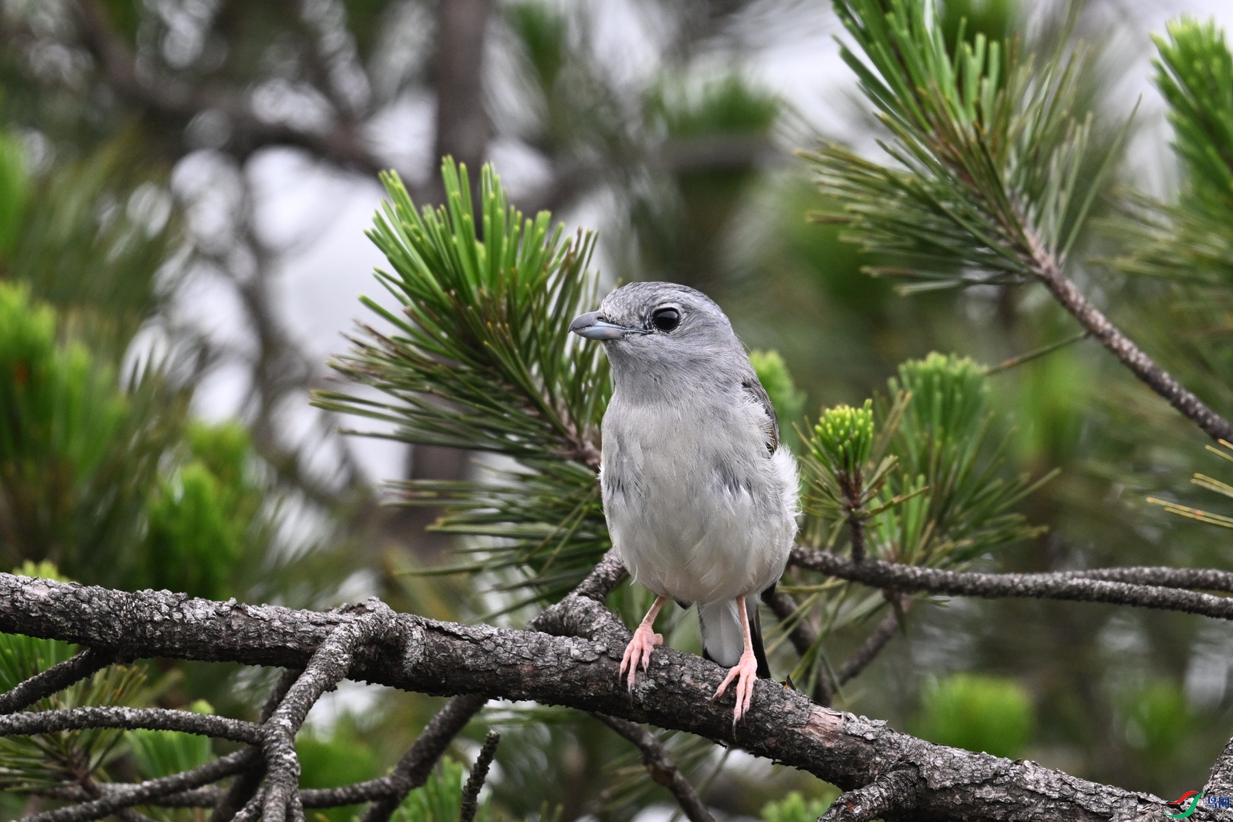 DSC_0778.JPG