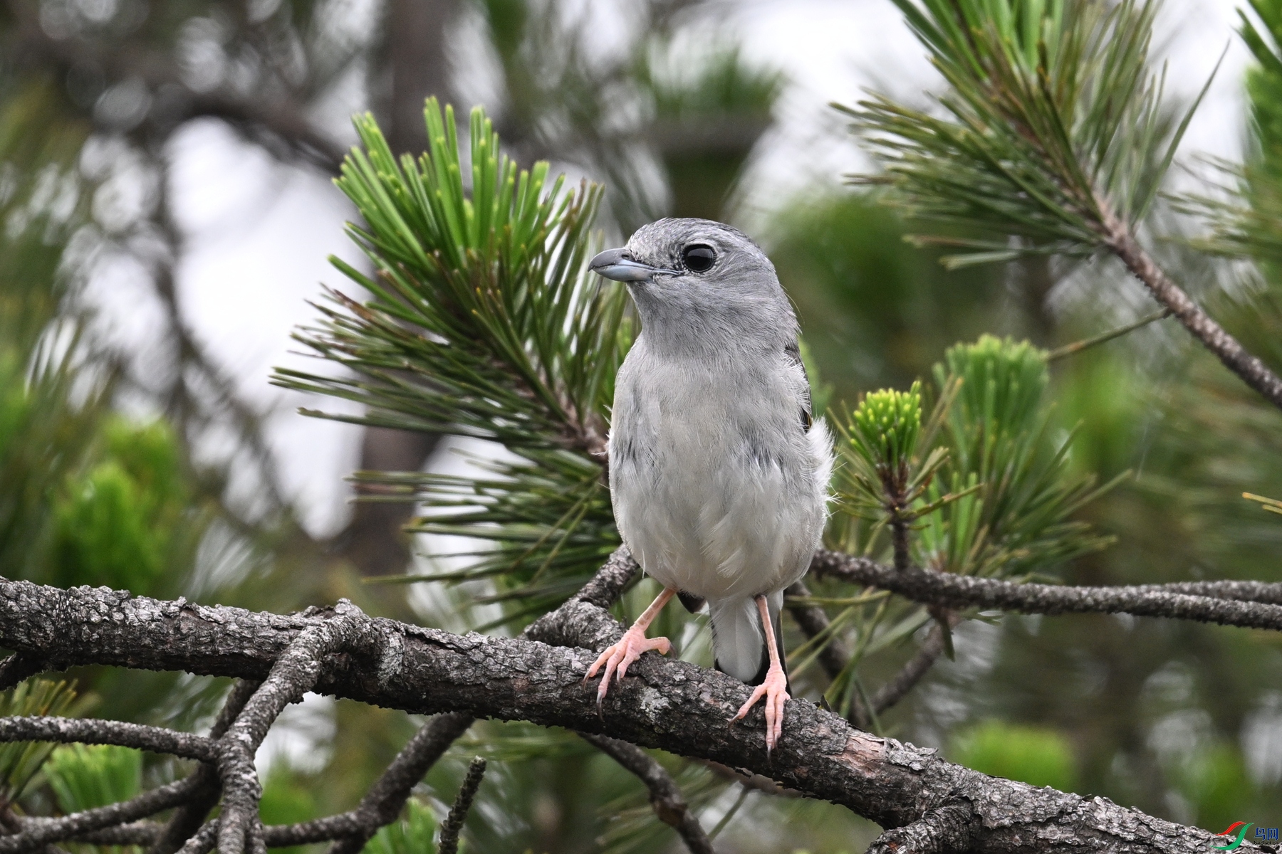 DSC_0755.JPG
