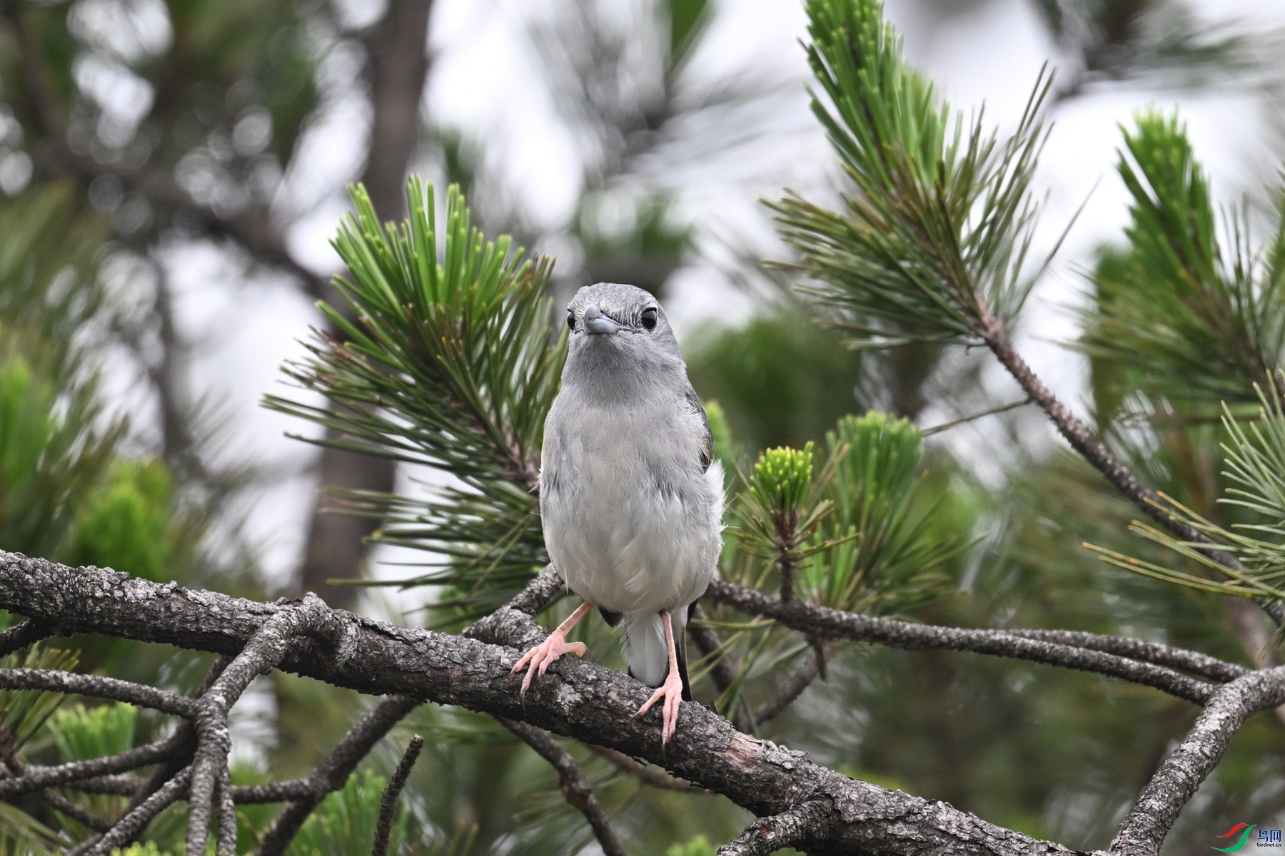 DSC_0757.JPG