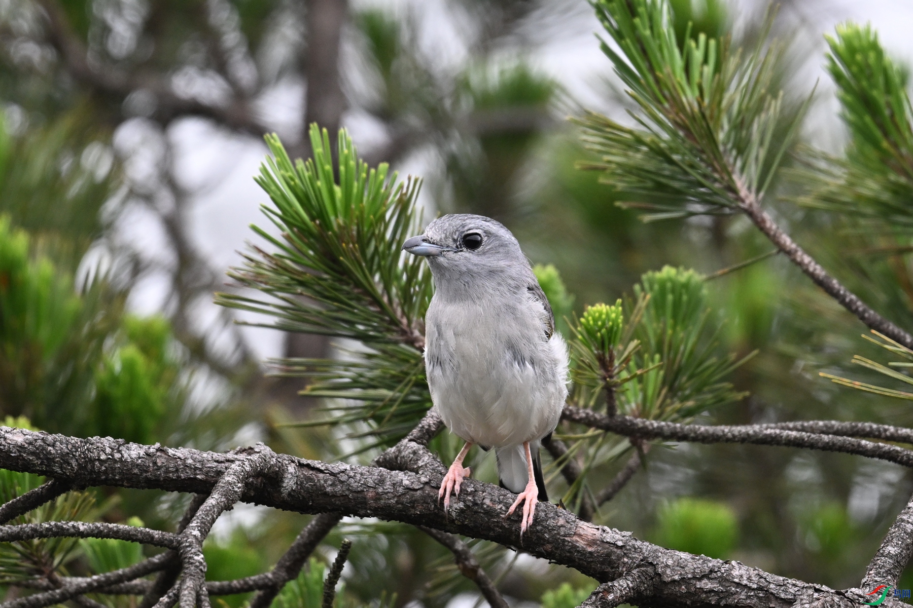DSC_0780.JPG