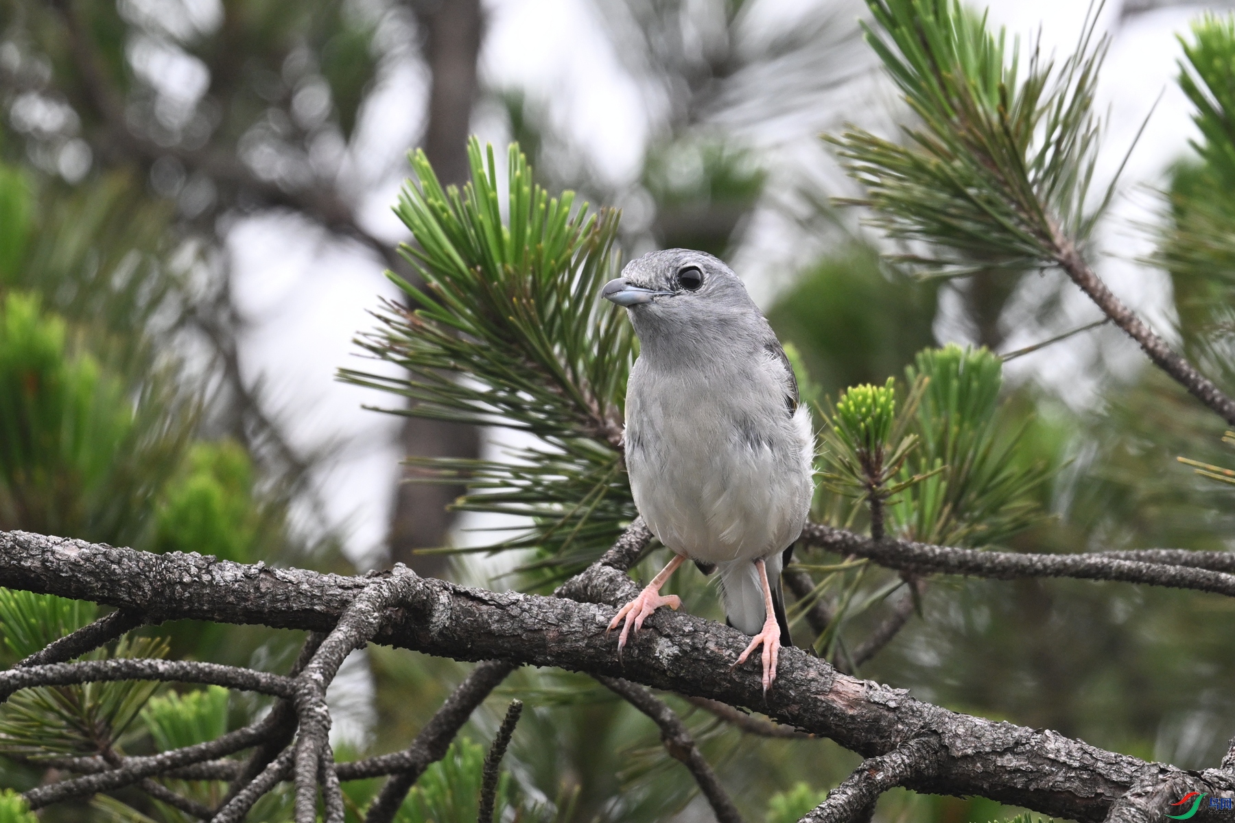 DSC_0759.JPG