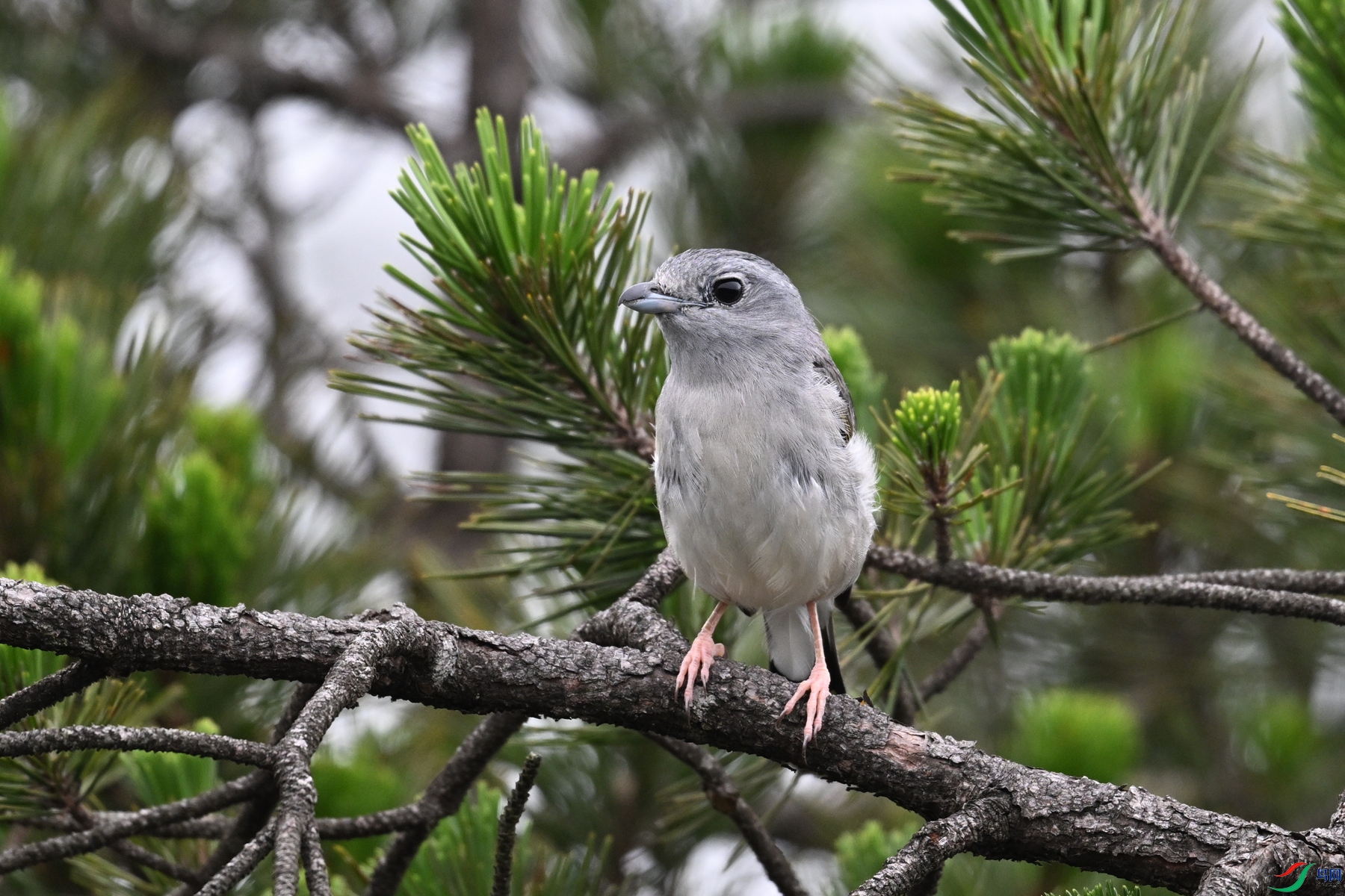 DSC_0779.JPG