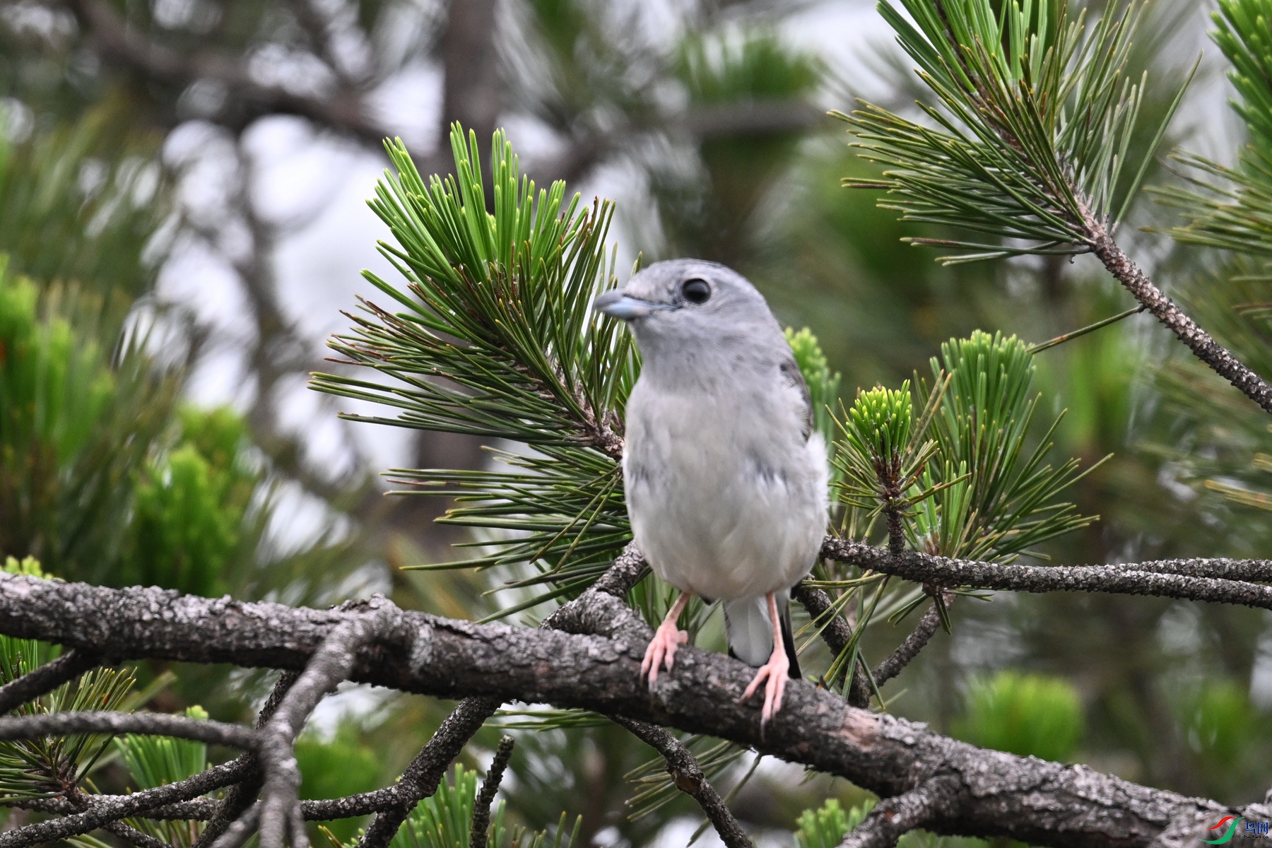 DSC_0777.JPG