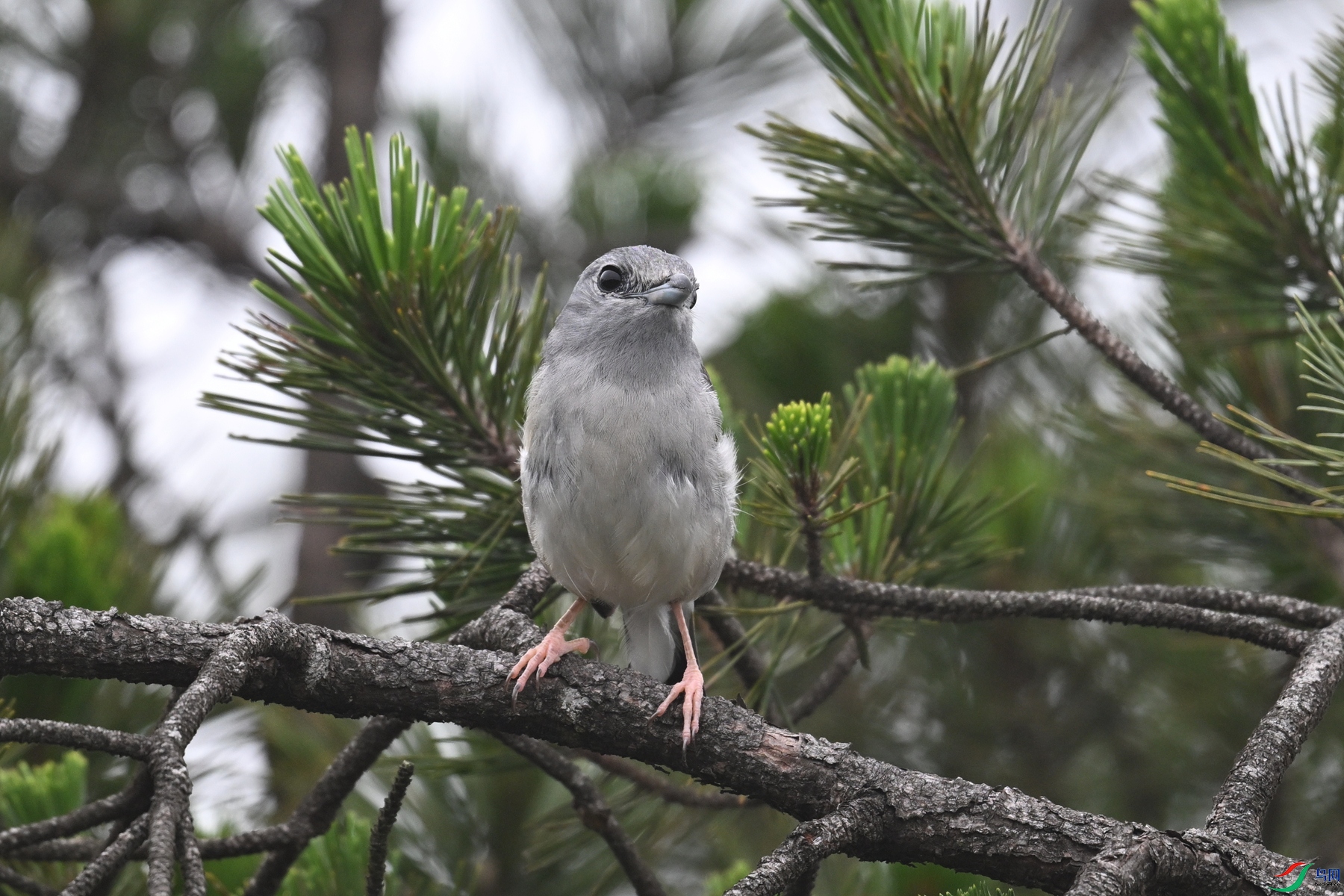 DSC_0771.JPG