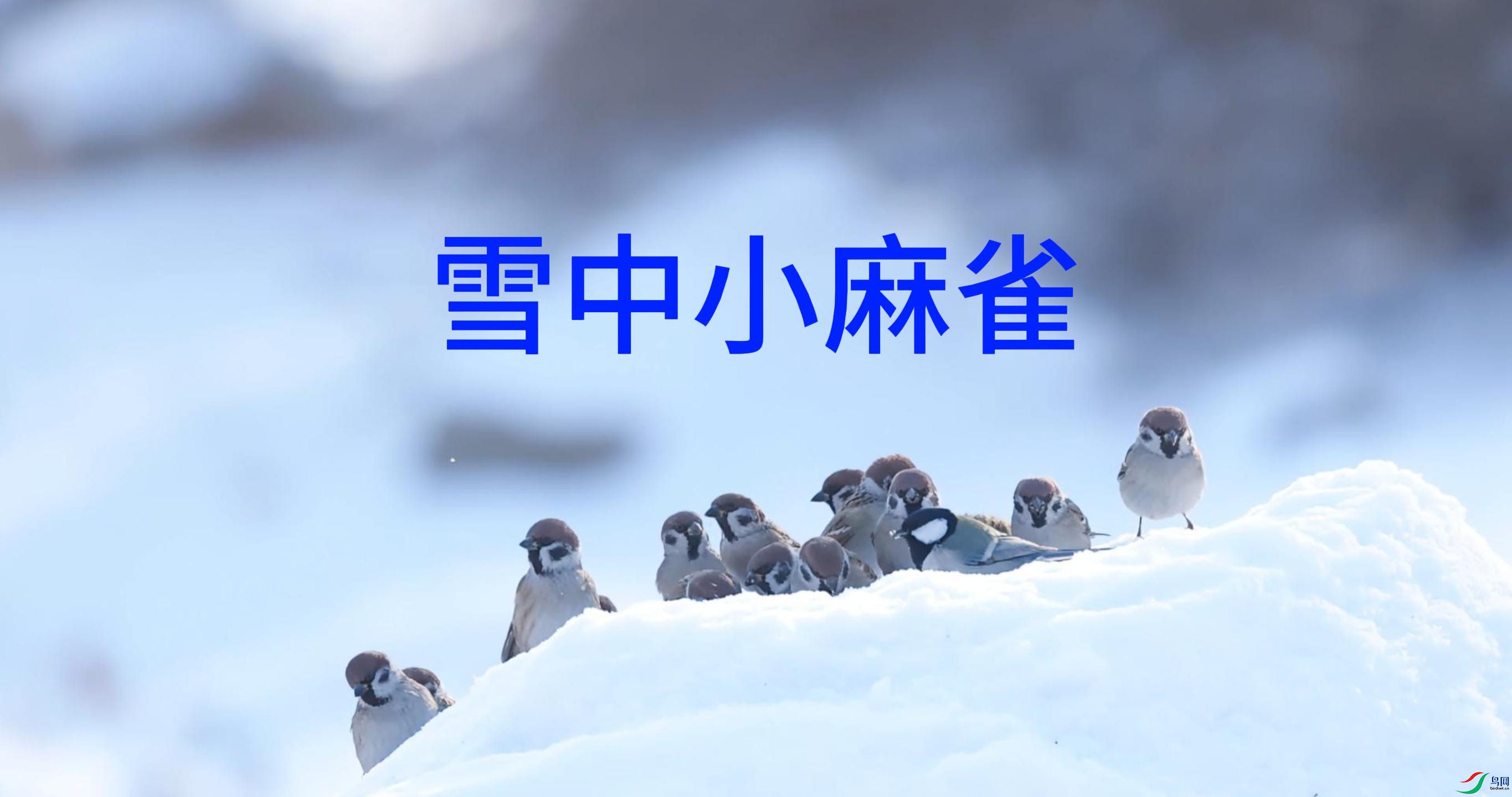 2��7�� (2)-����.jpg