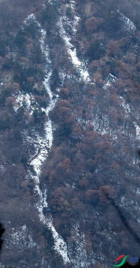 6W3A0835.jpg