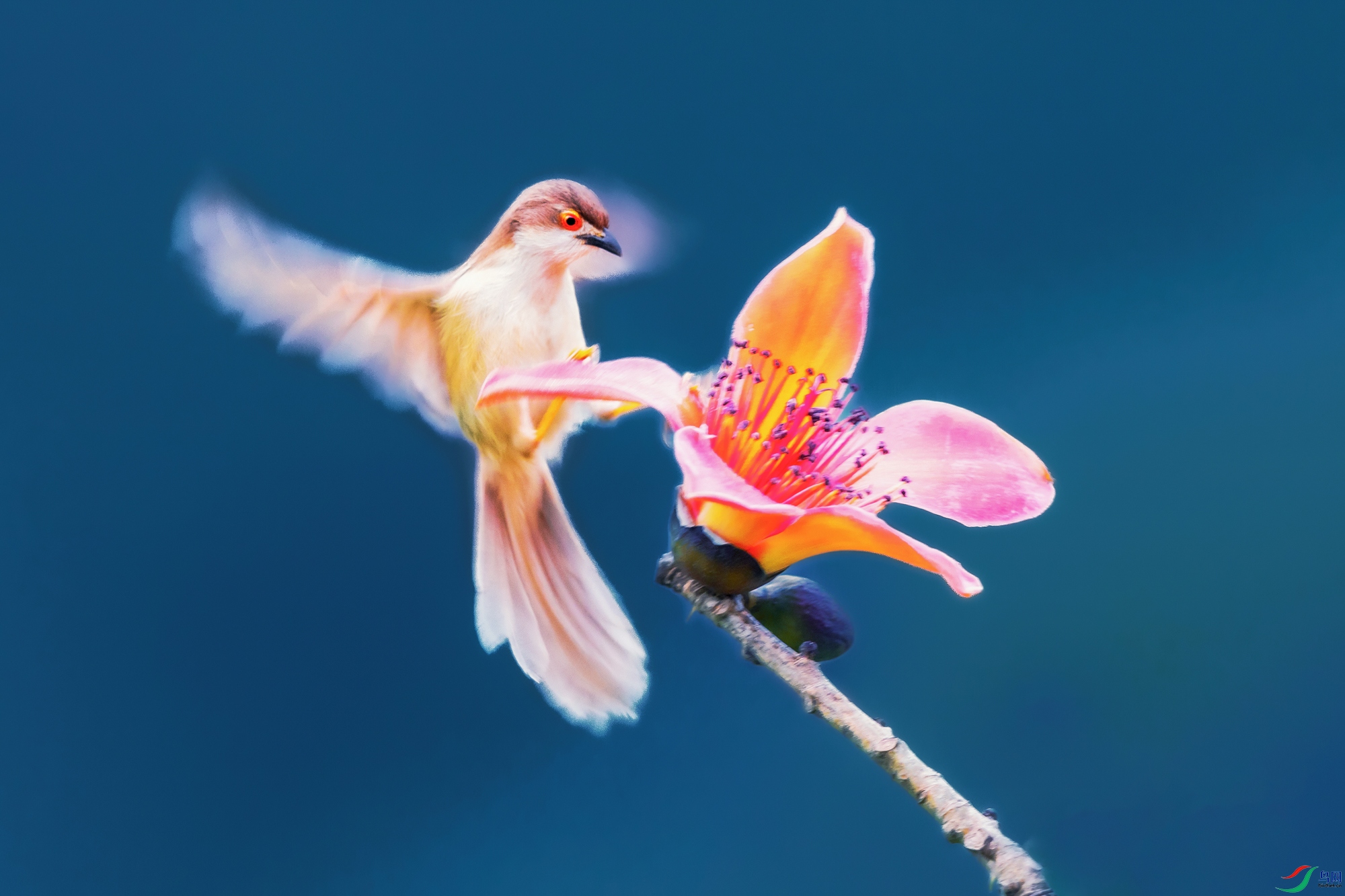 ������ȸ----����ȸӰ�贺��