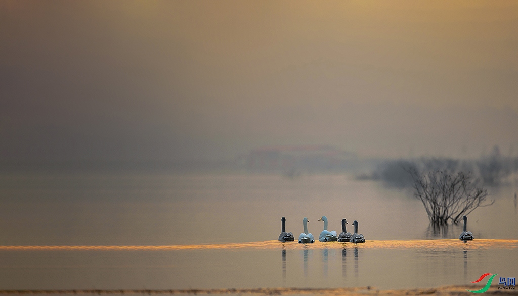 �������������� ƽ½.jpg