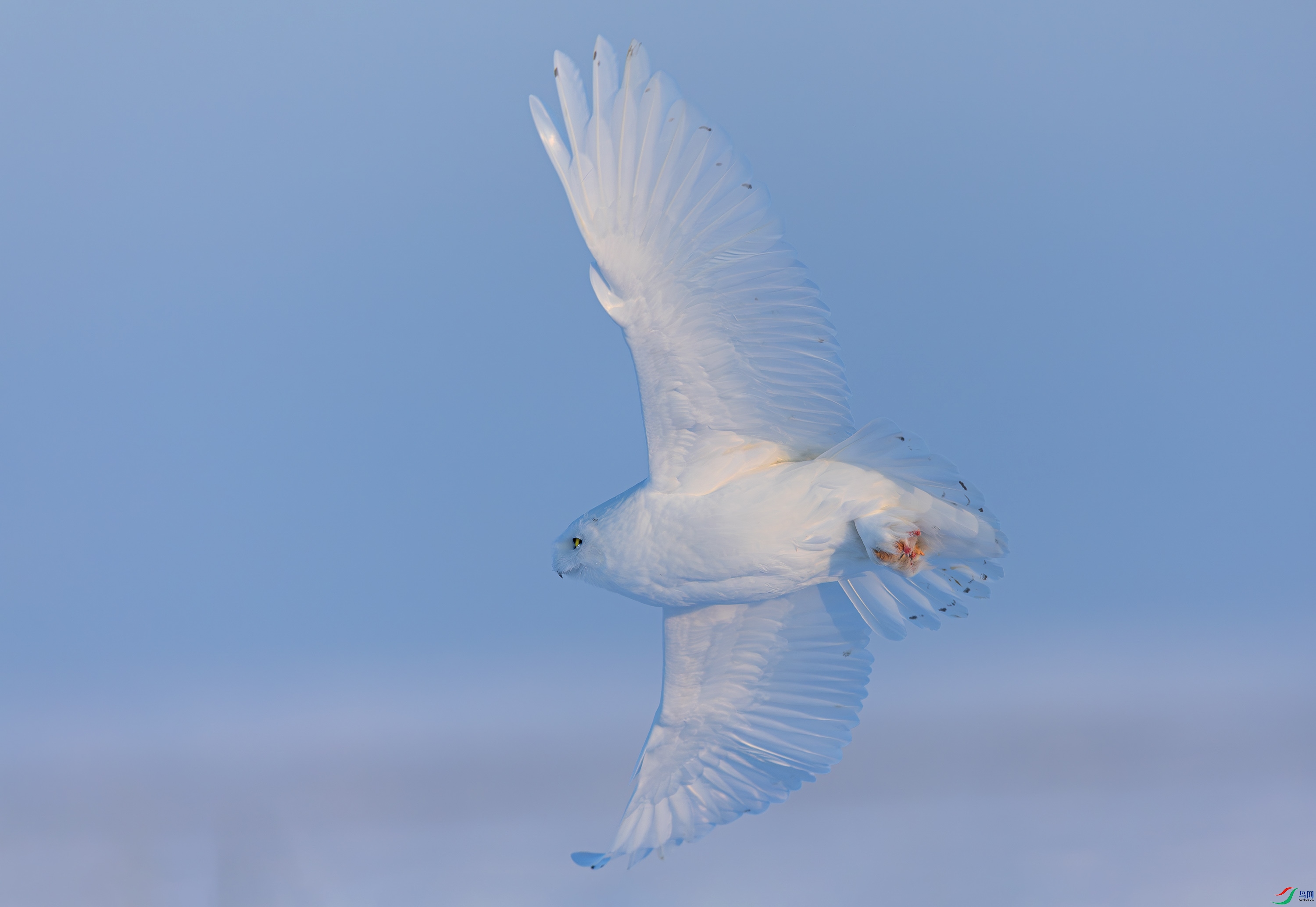 _72A2010-����ǿ-NR.JPG