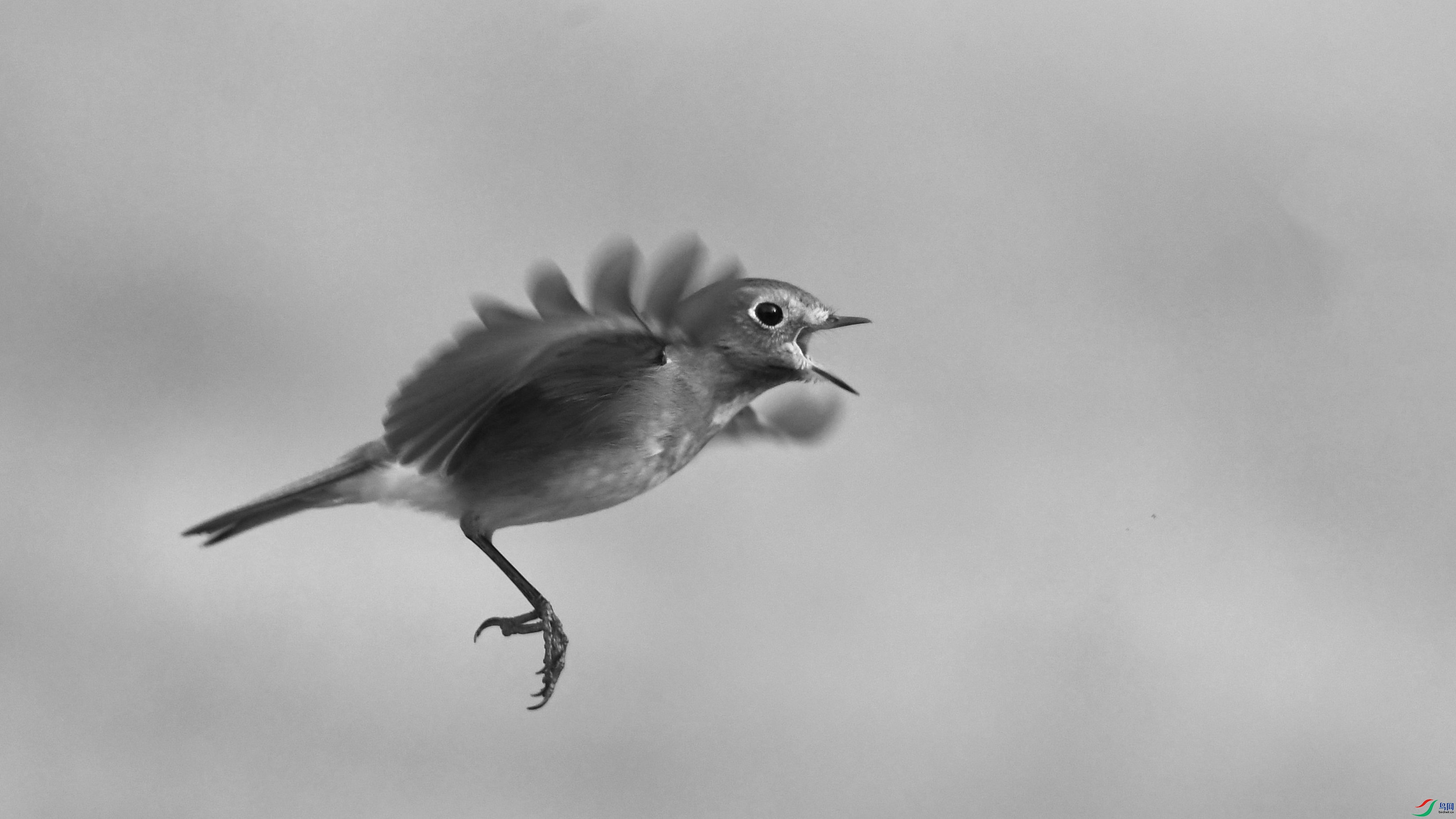 DSC_0671.JPG