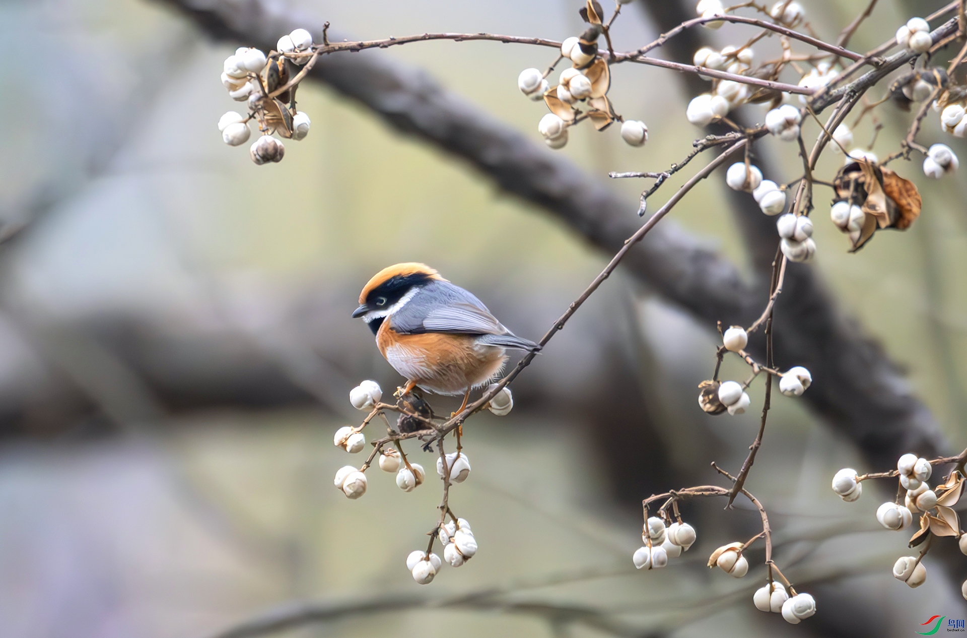 407A6707-----33  .jpg