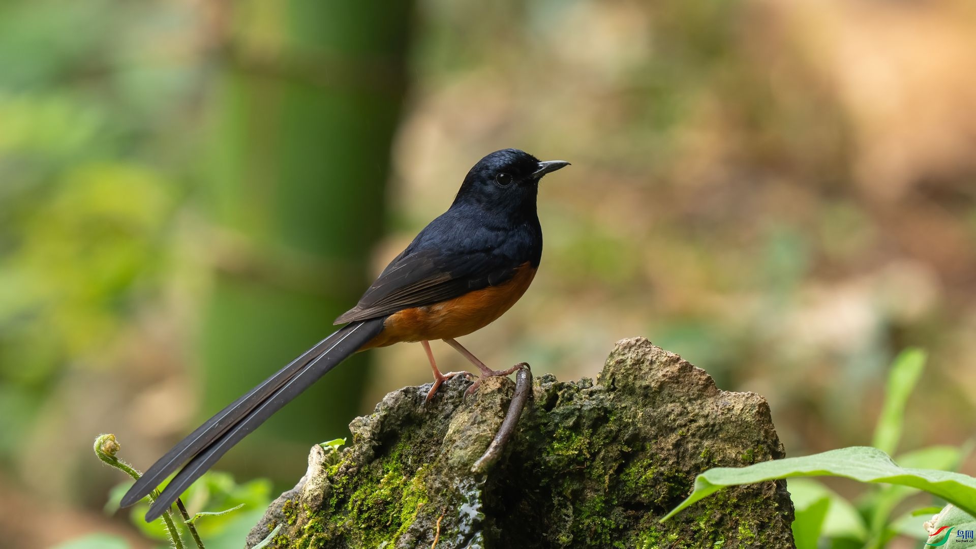 ����2DSC08920 .jpg