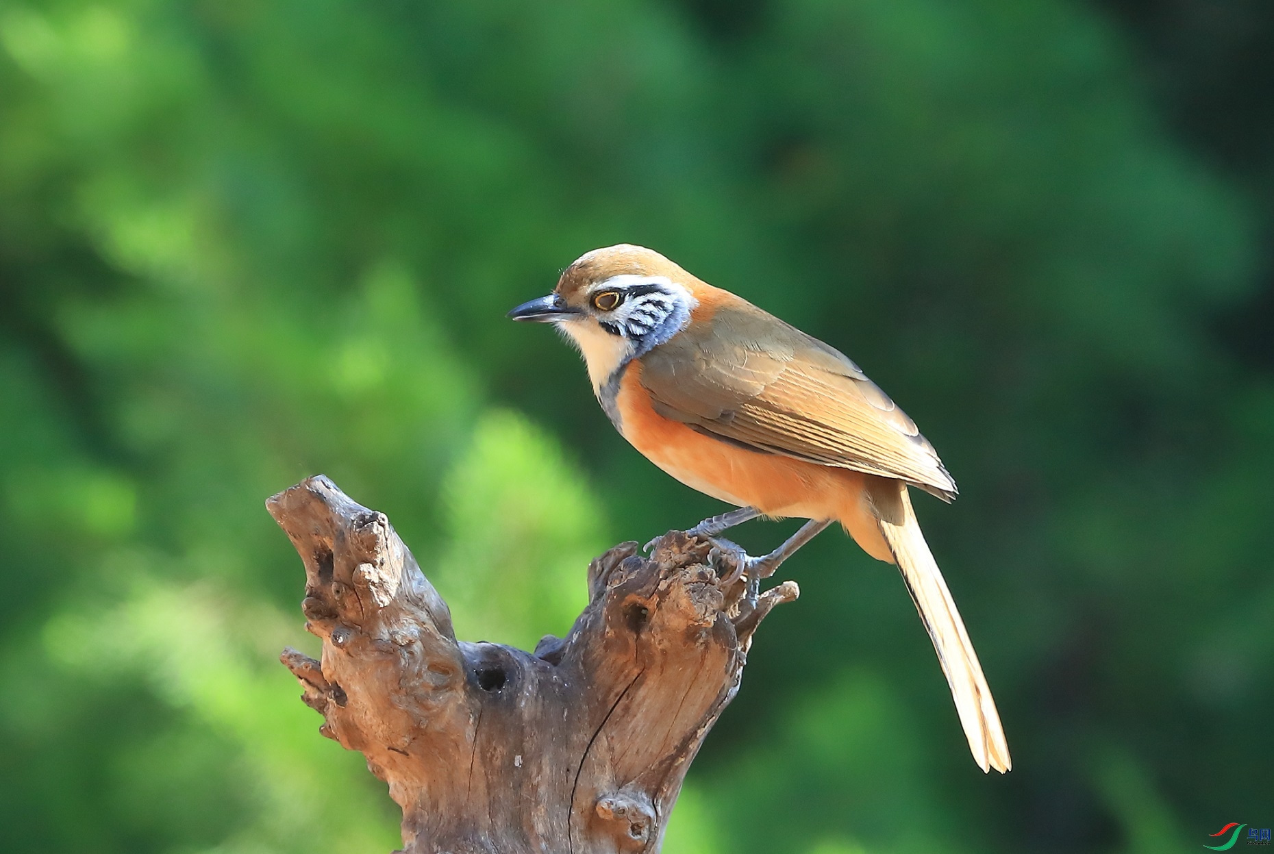 AL5I9549.JPG