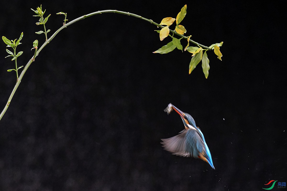 DSC_8900.jpg