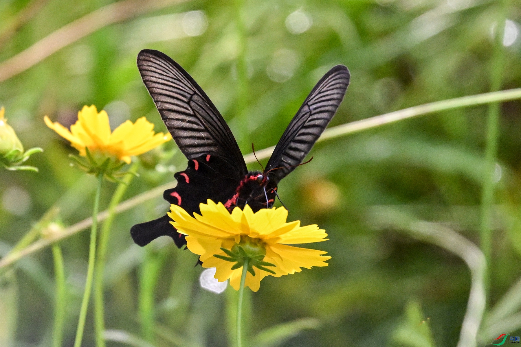 DSC_2083.JPG