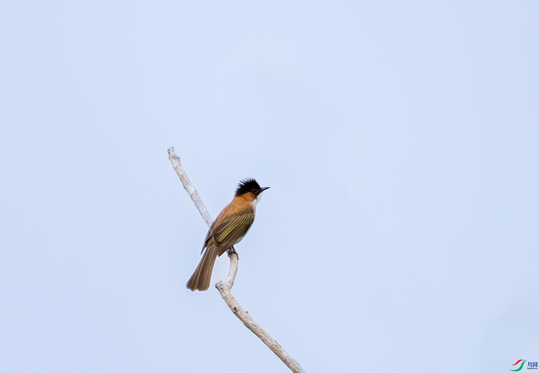 DSC_1100-1.jpg