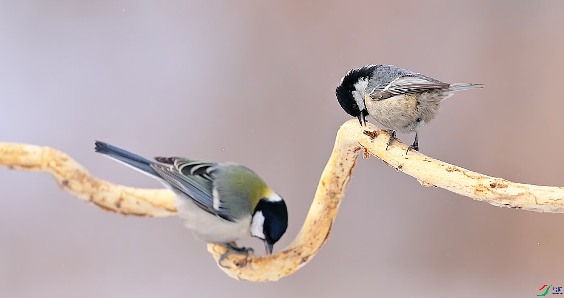 2��7�� (1)(1).jpg