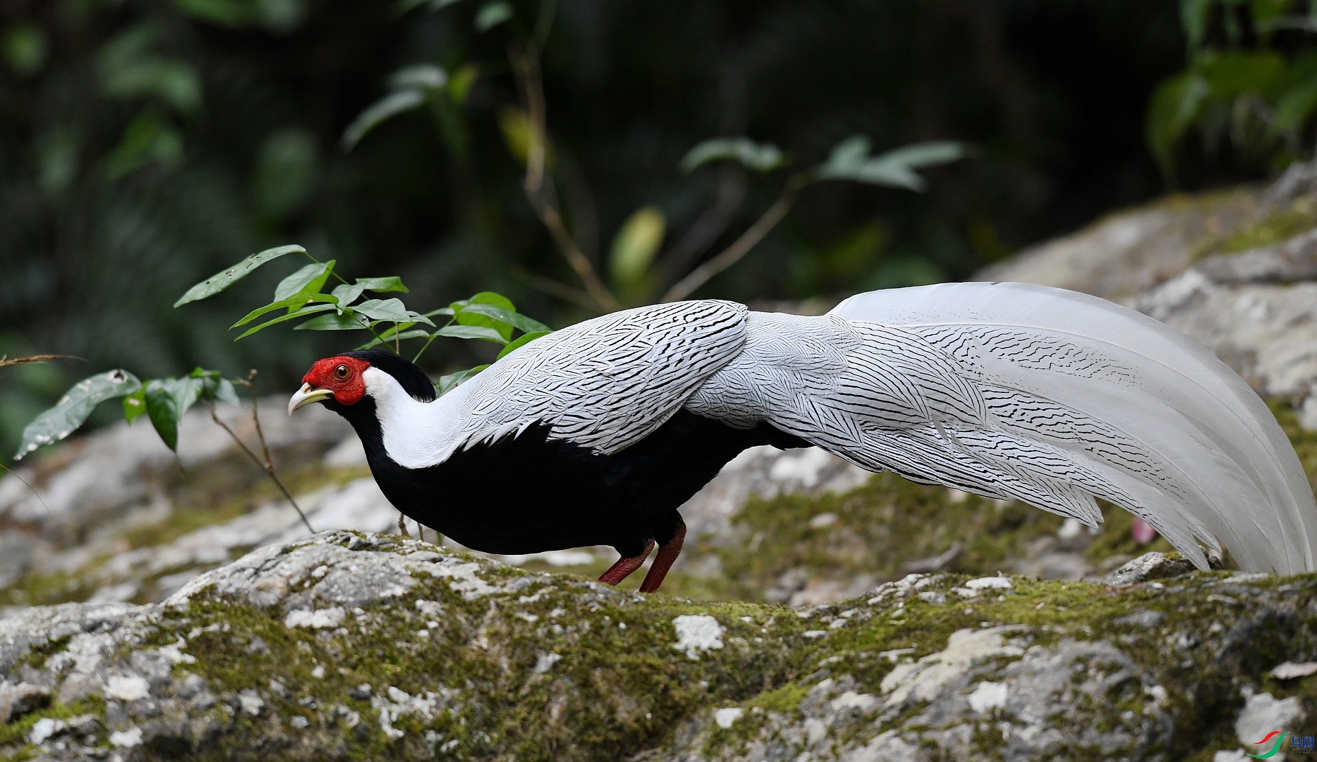 DSC_3007.jpg