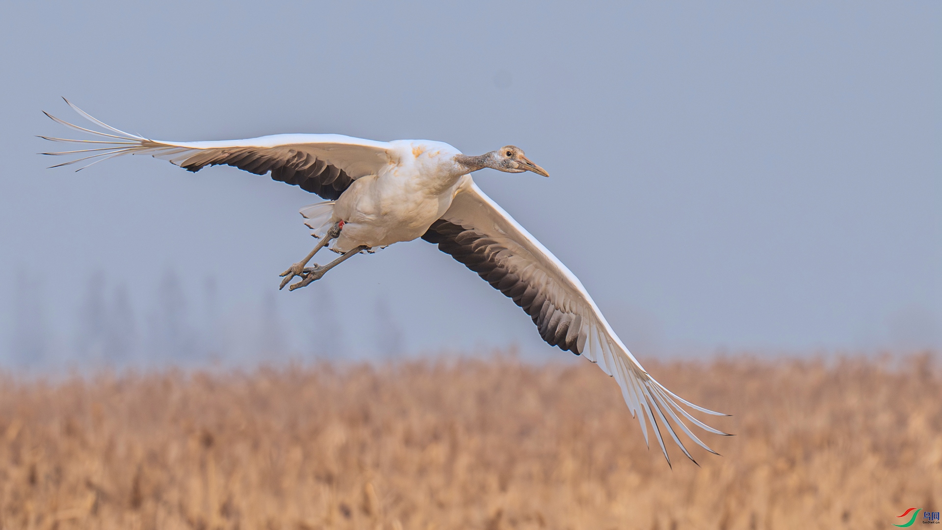 DSC_9149 ����_����.jpg