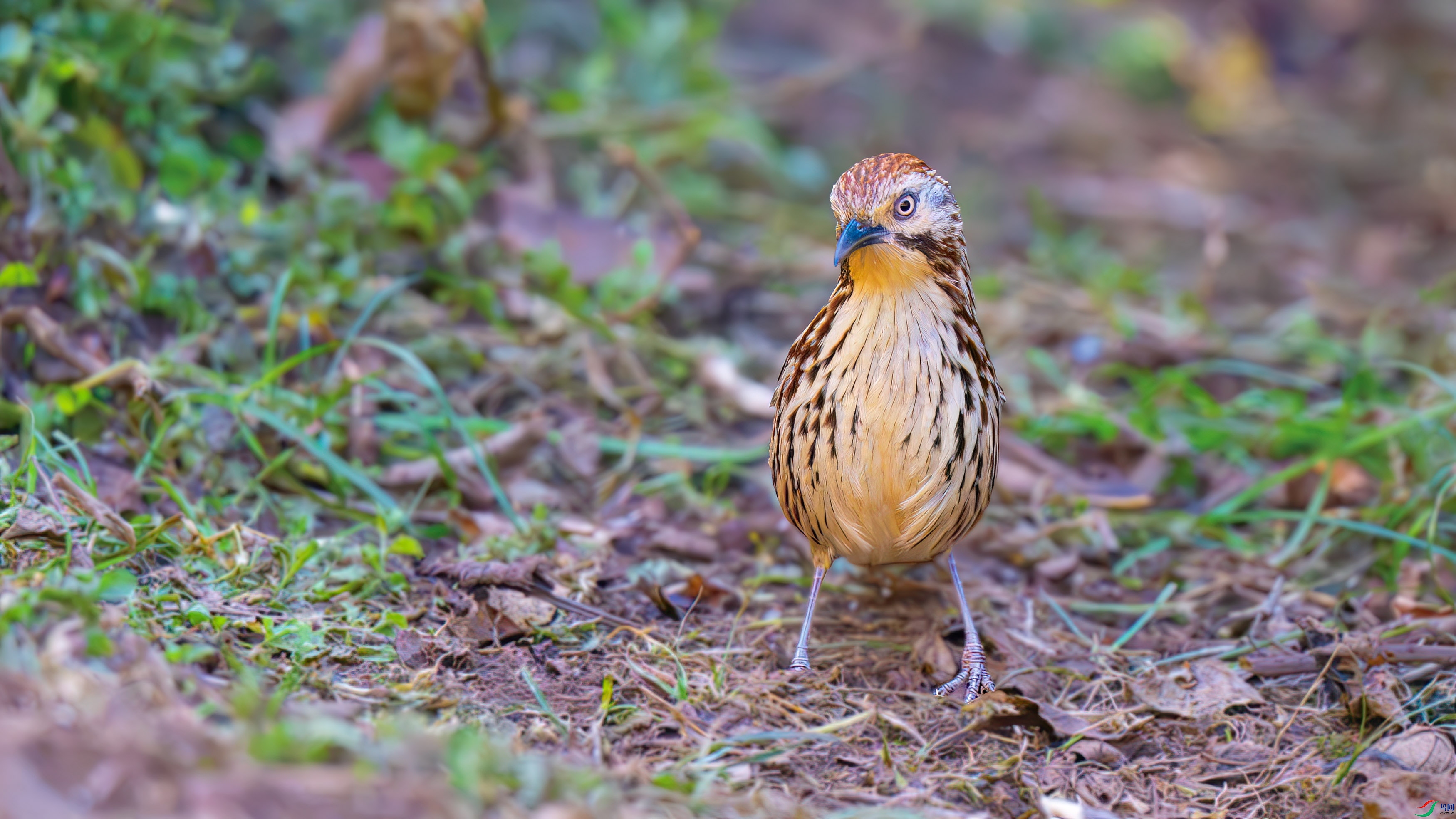 DSC_7565.jpg