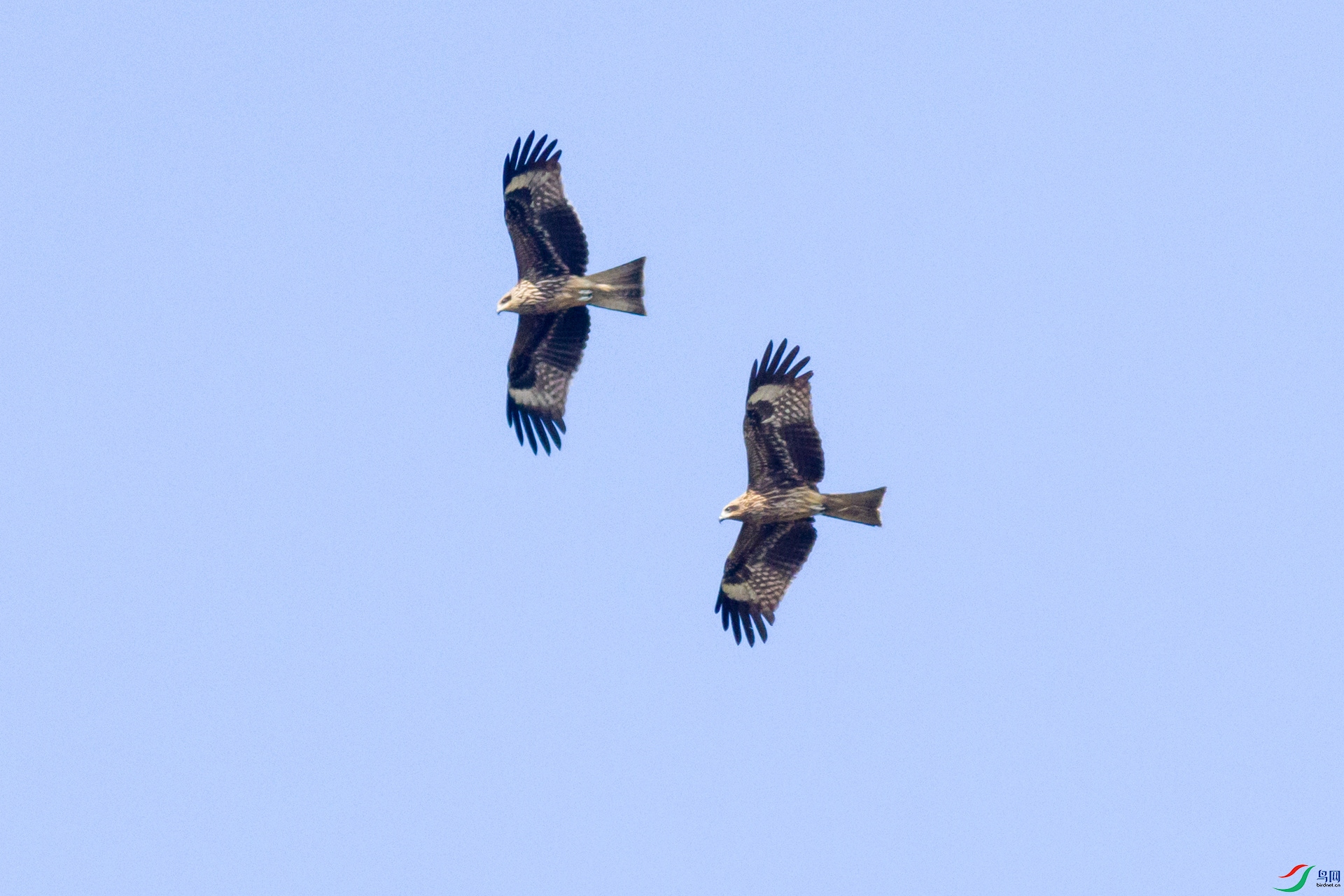 2H6A6881 ����_����.jpg