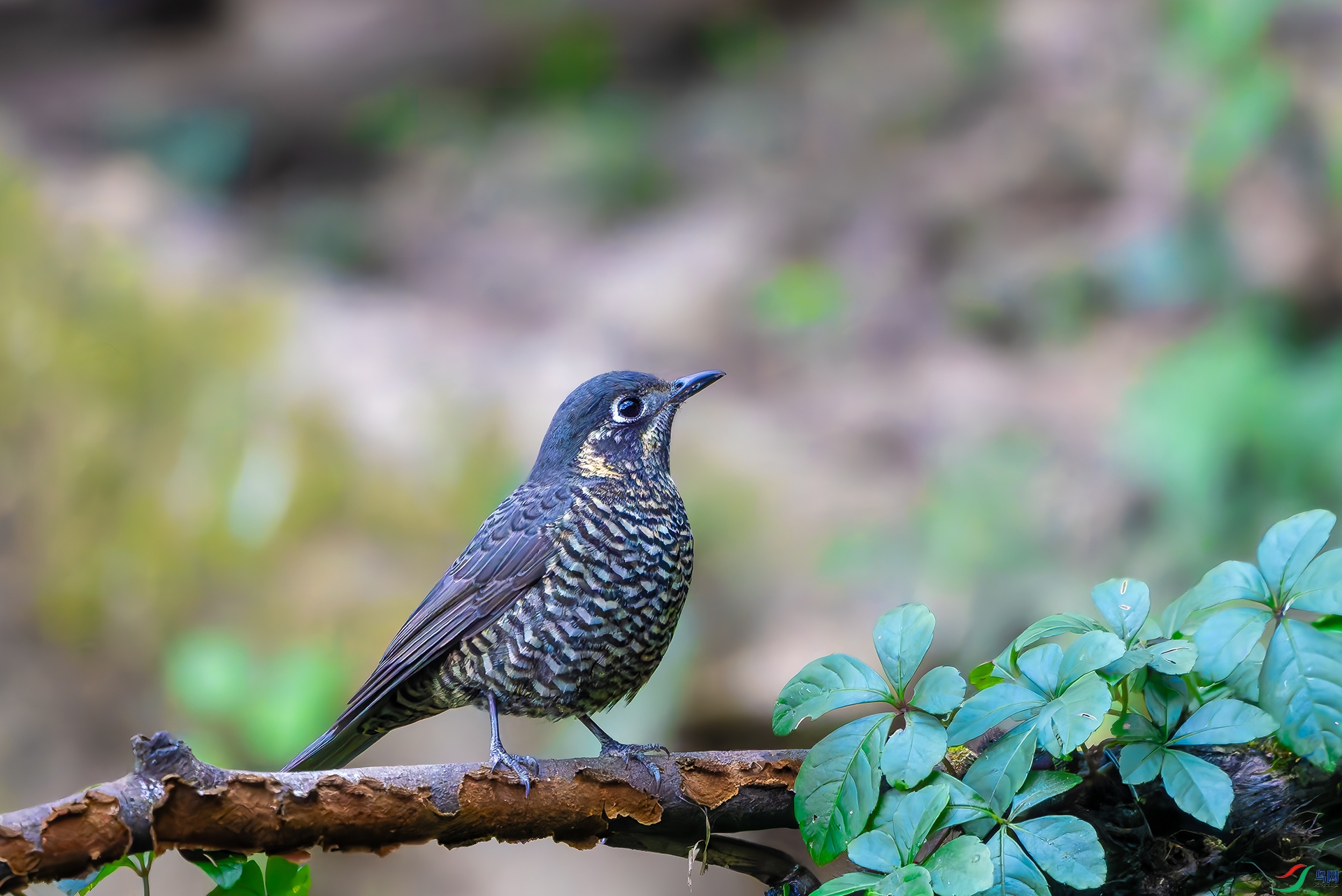 20251225-DSC04121 ���� 2.jpg