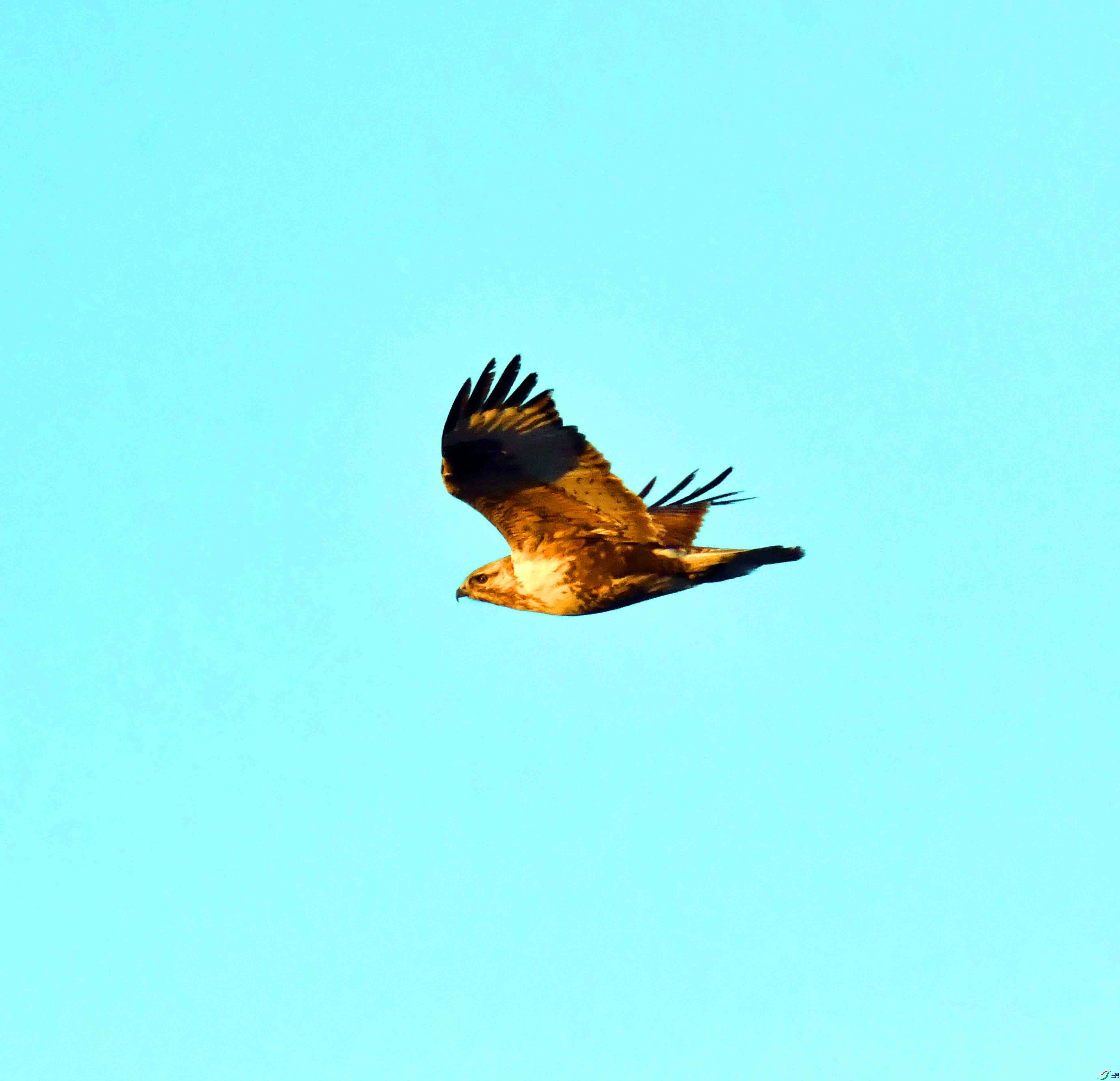 DSC_4154.JPG