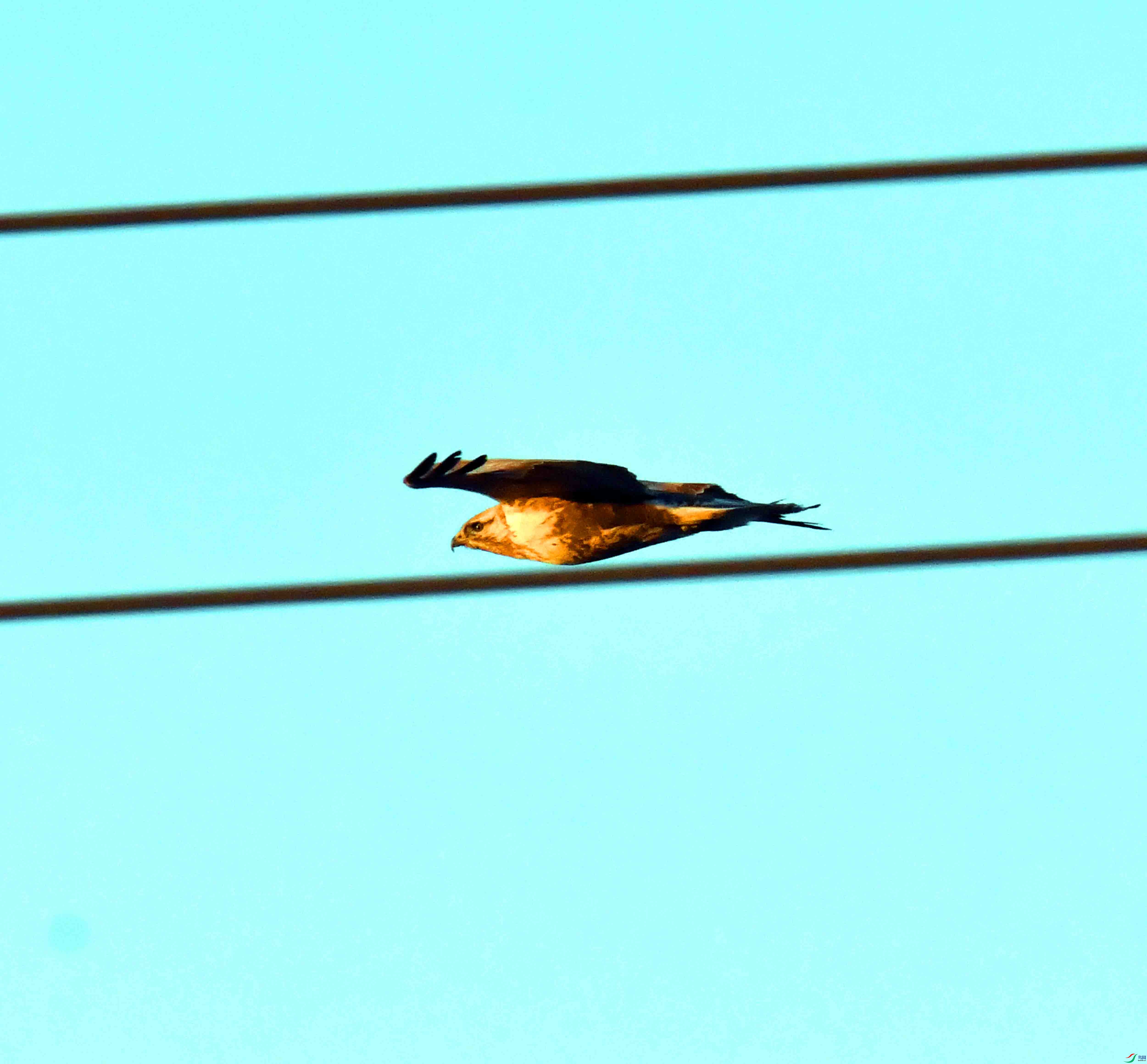 DSC_4161.JPG