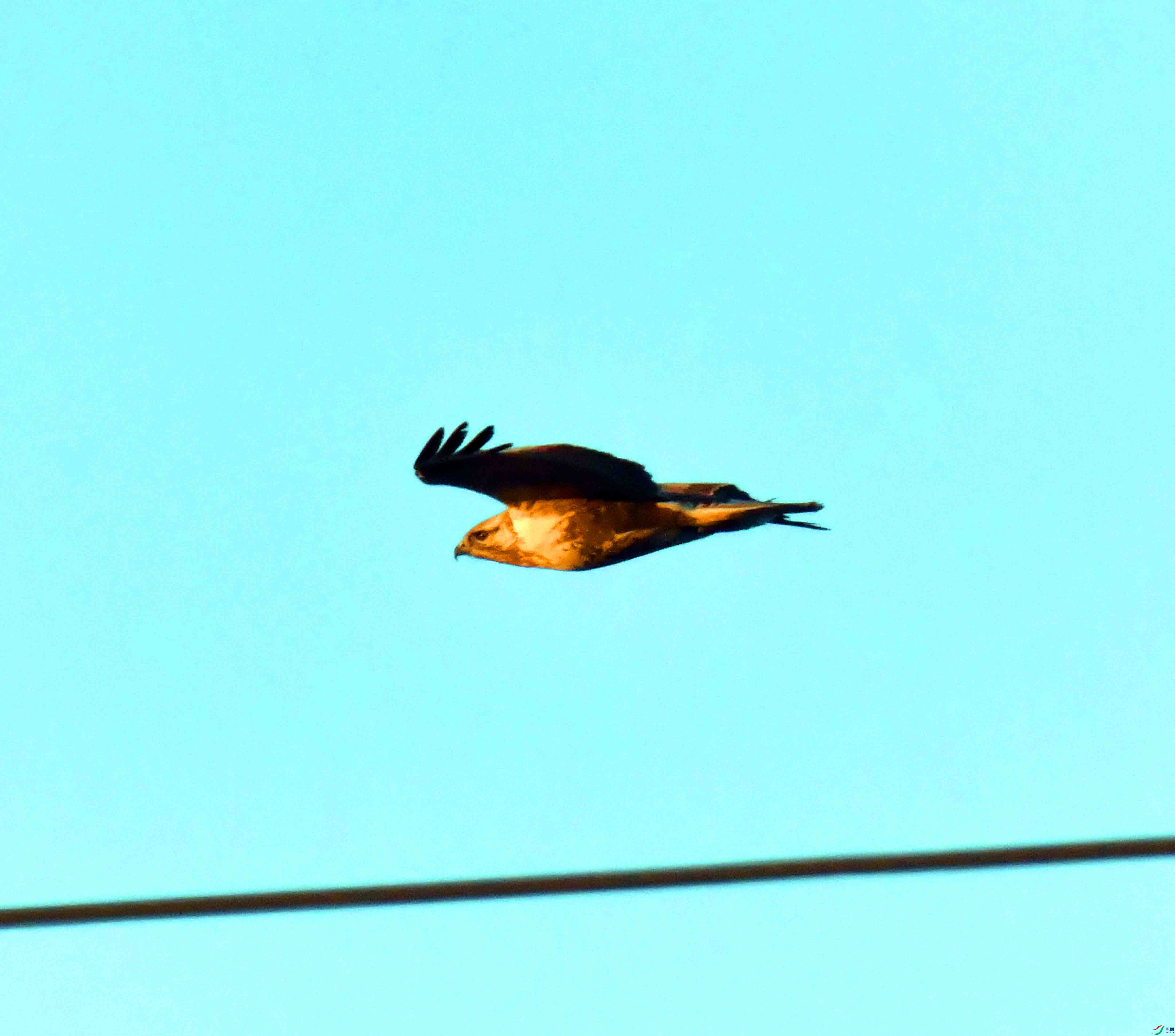 DSC_4159.JPG