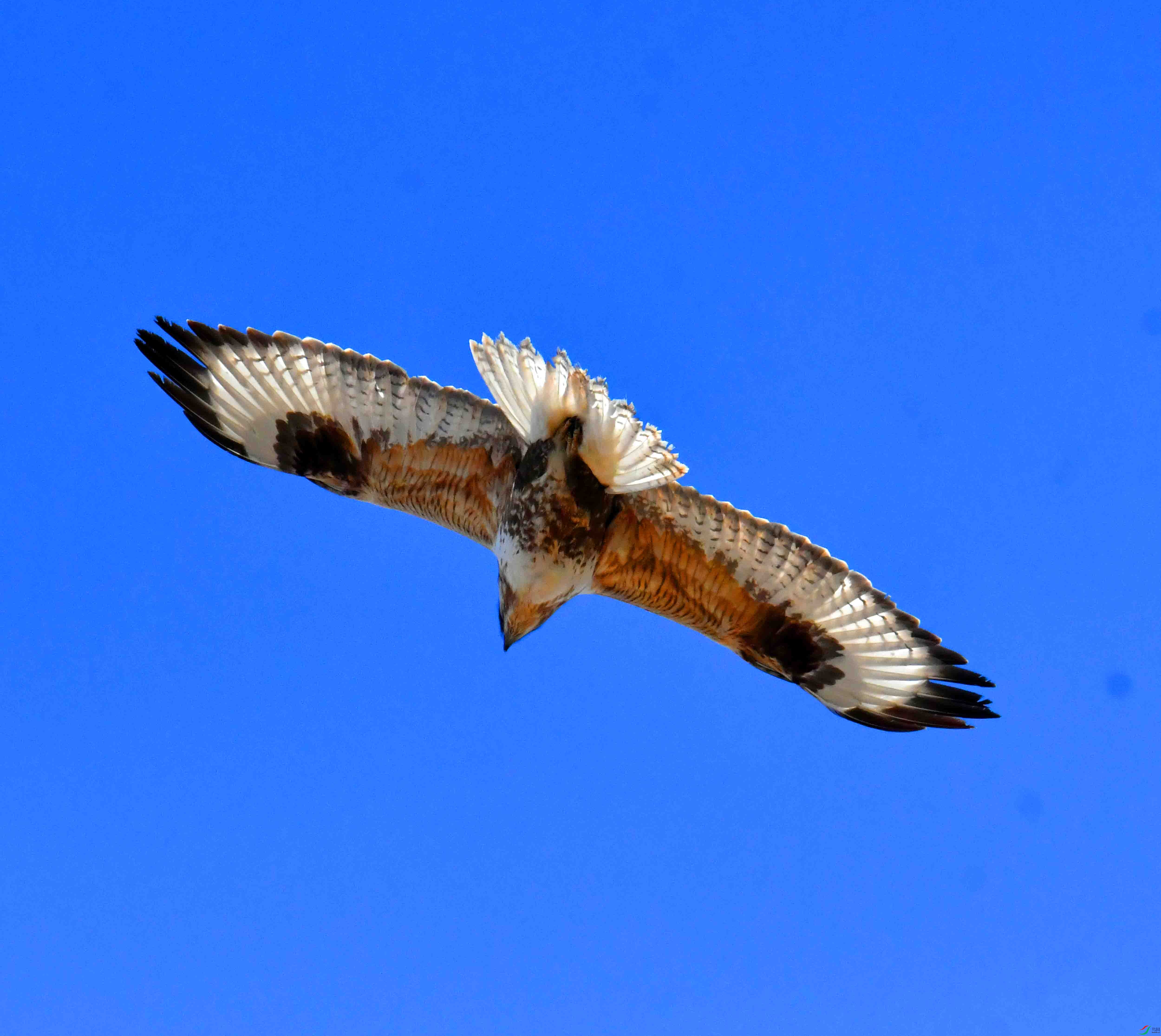 DSC_4396.JPG
