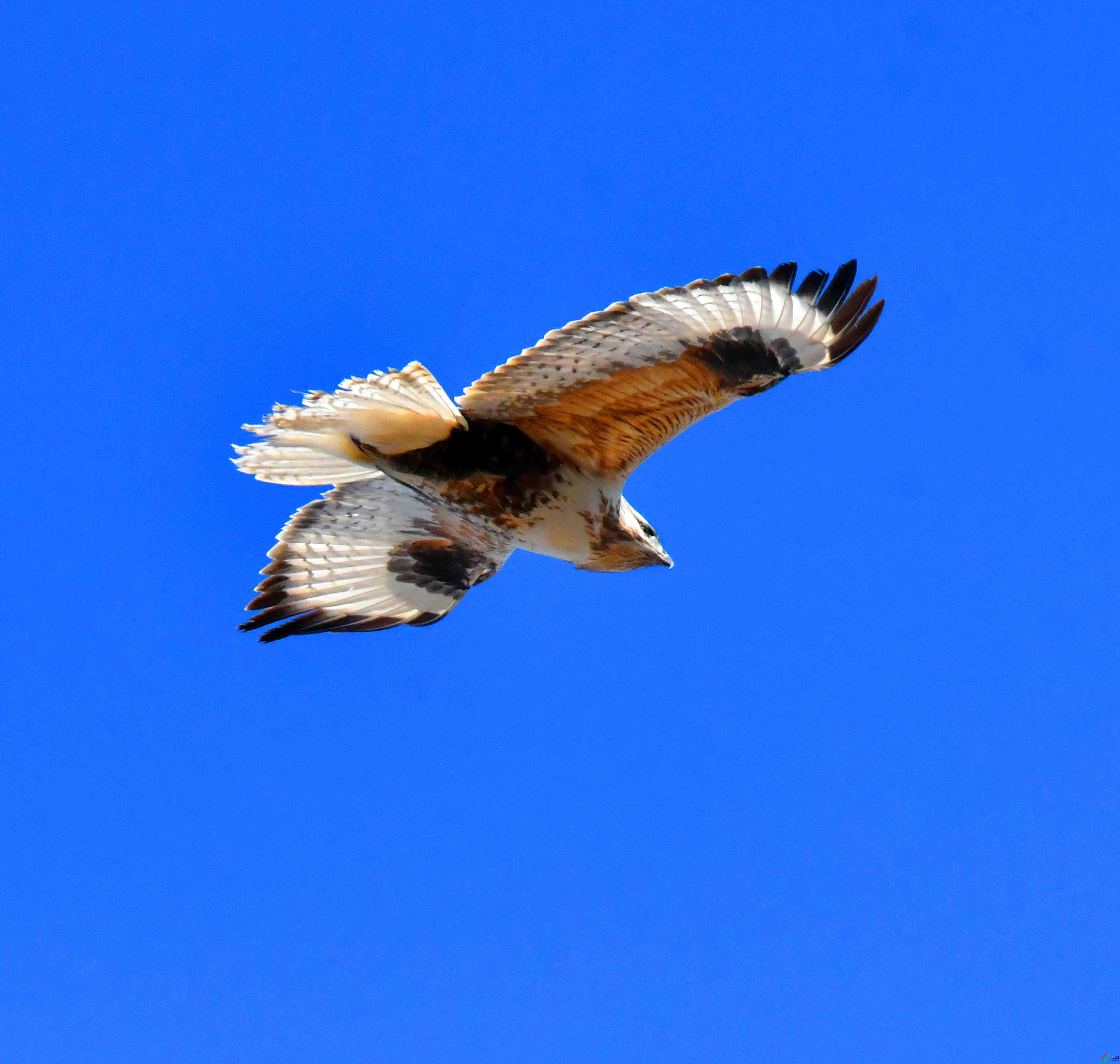 DSC_4403.JPG