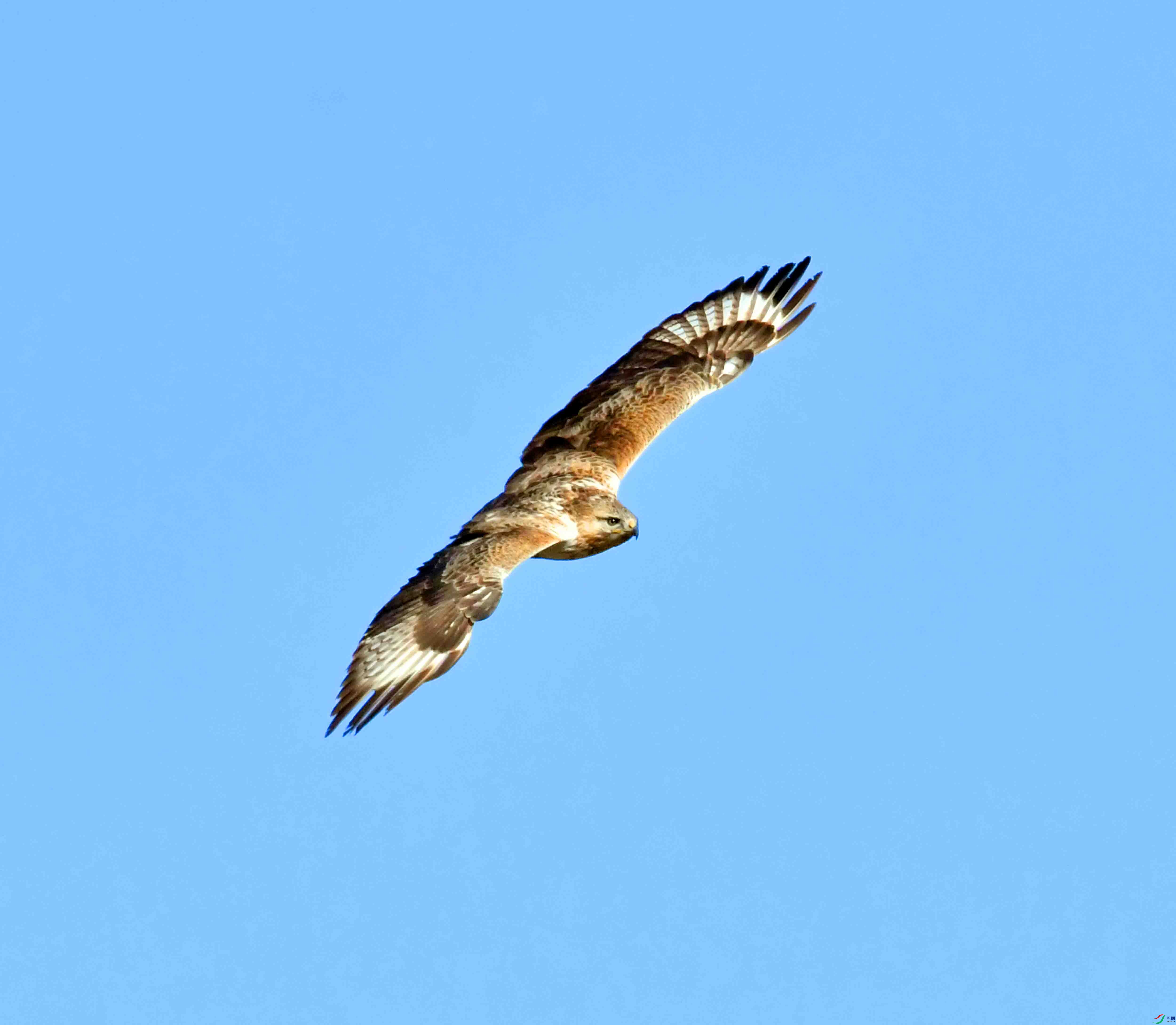 DSC_4444.JPG