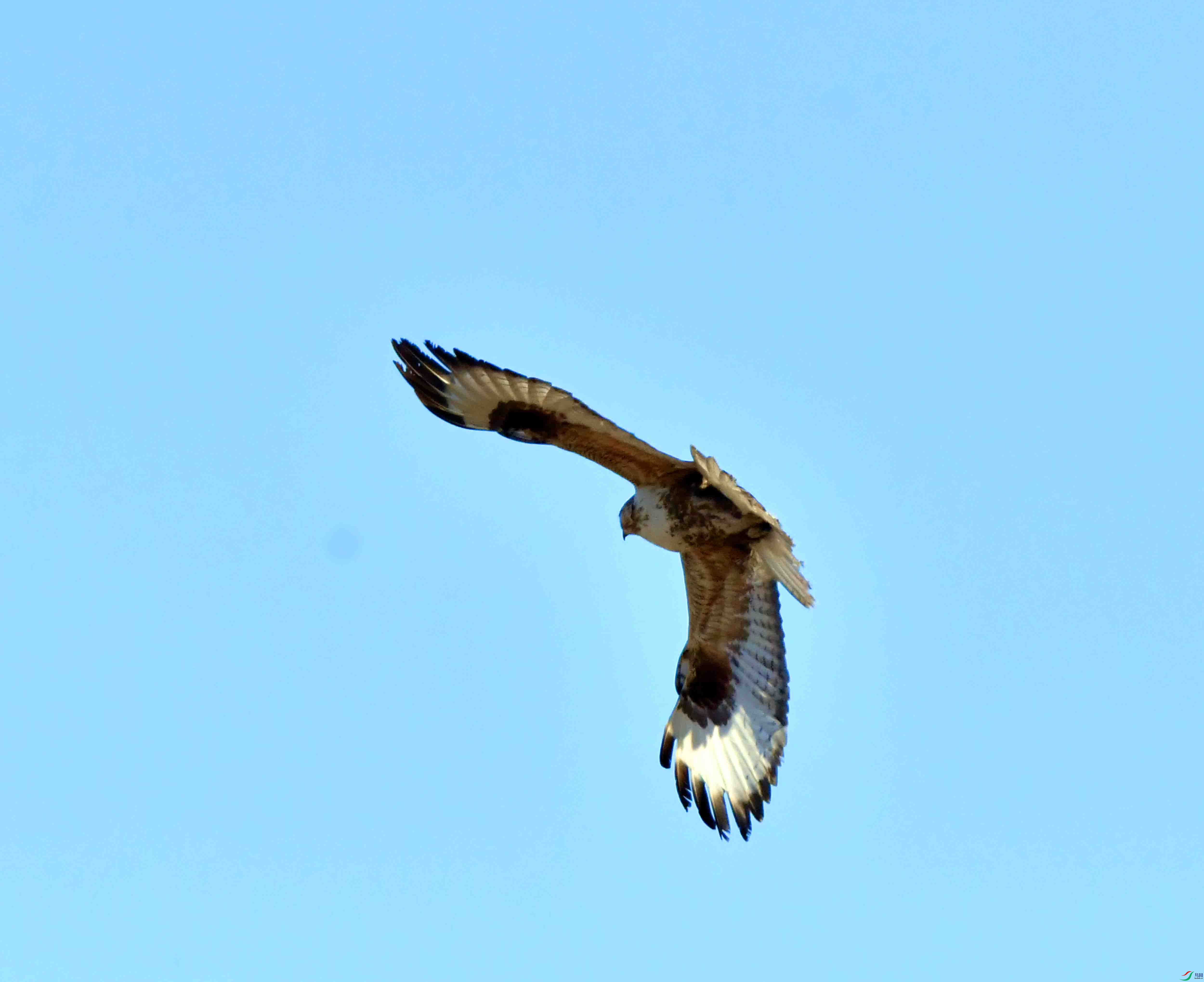 DSC_4436.JPG