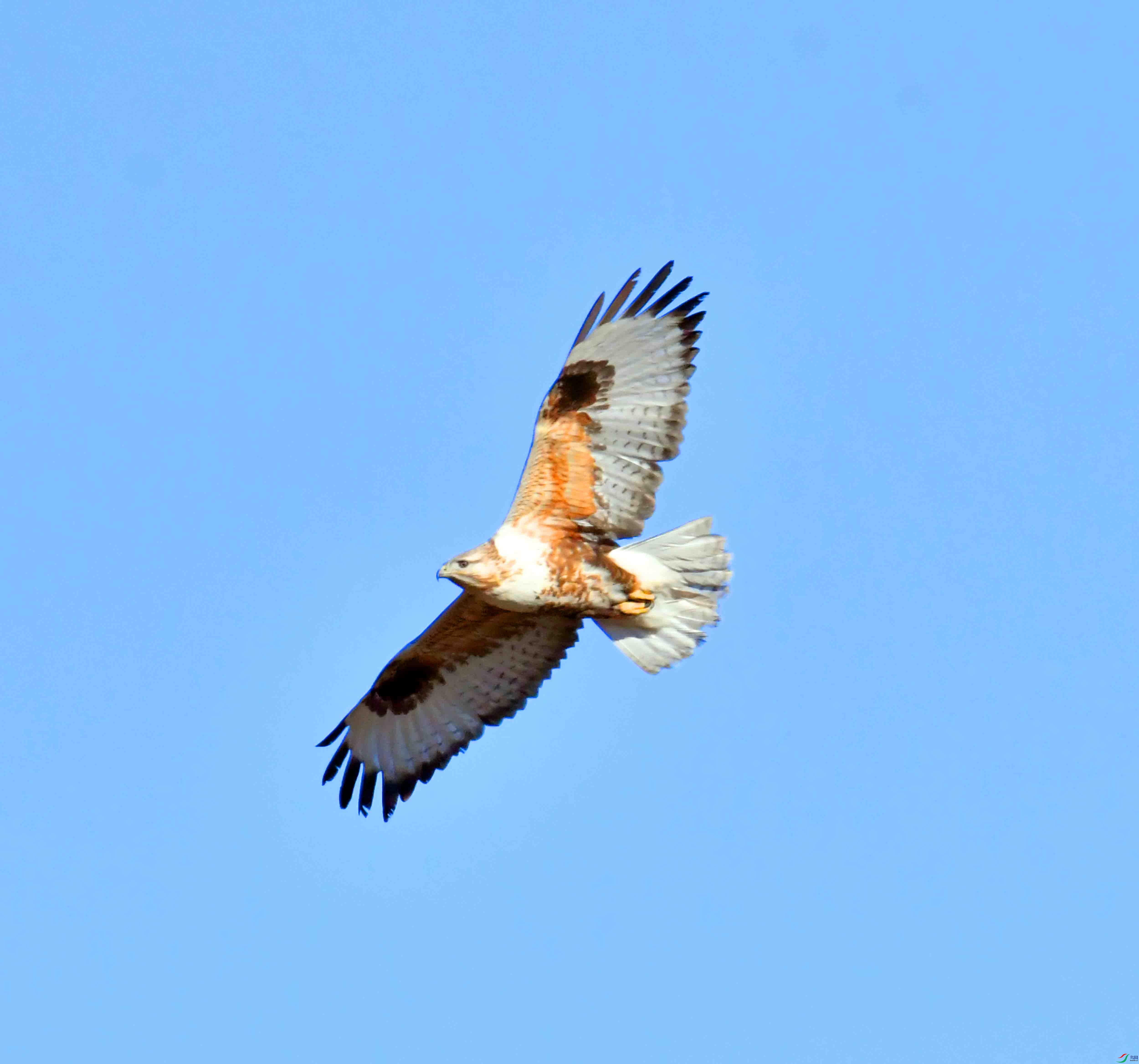 DSC_4448.JPG