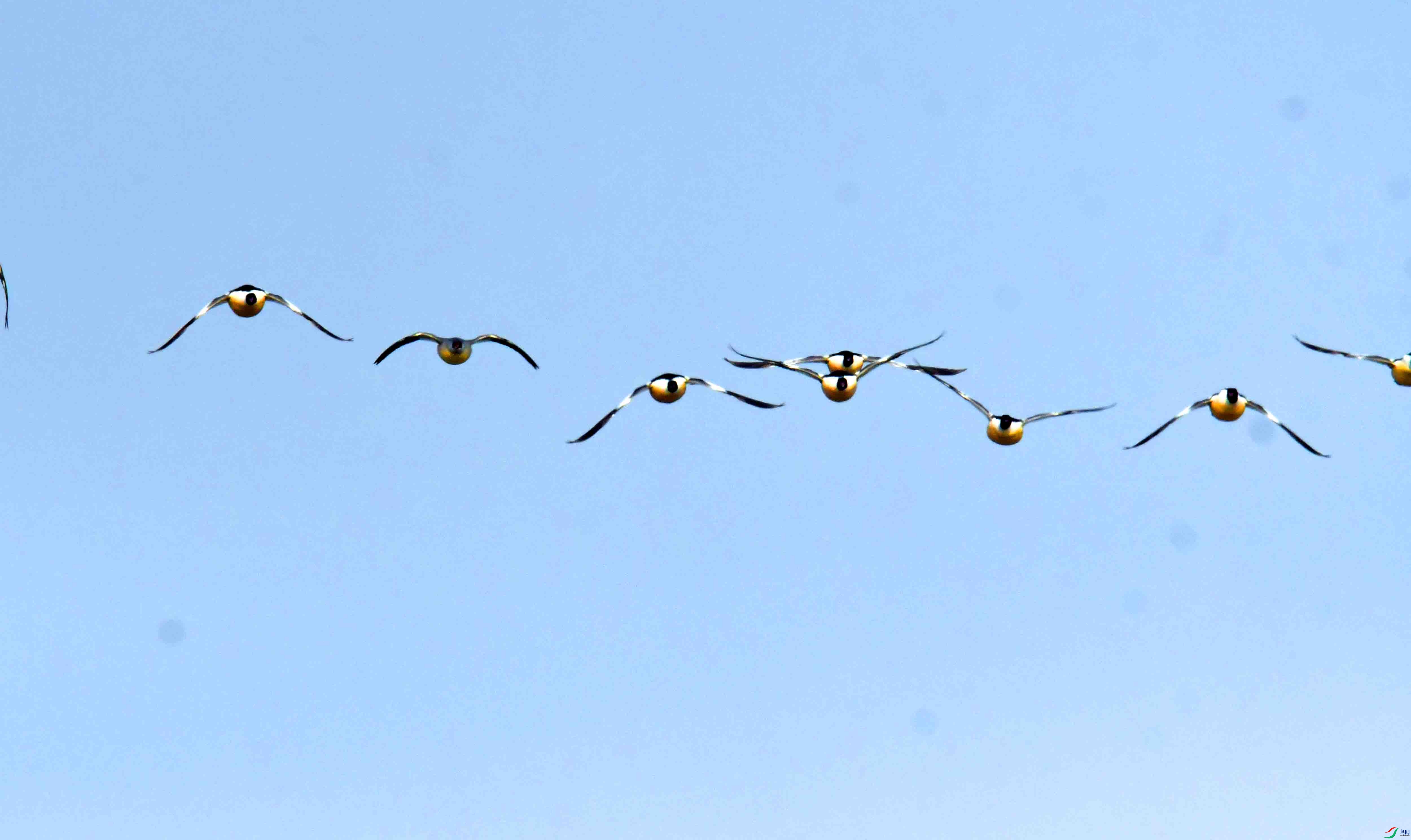 DSC_6666.JPG
