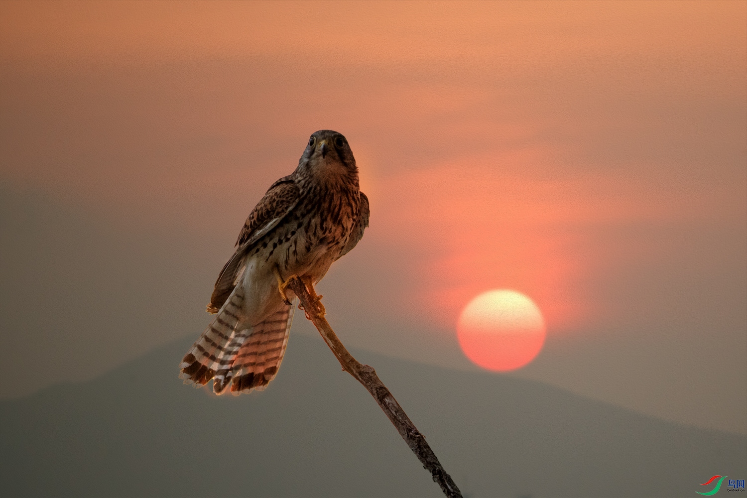 AQ9I5098 ���� 2.jpg