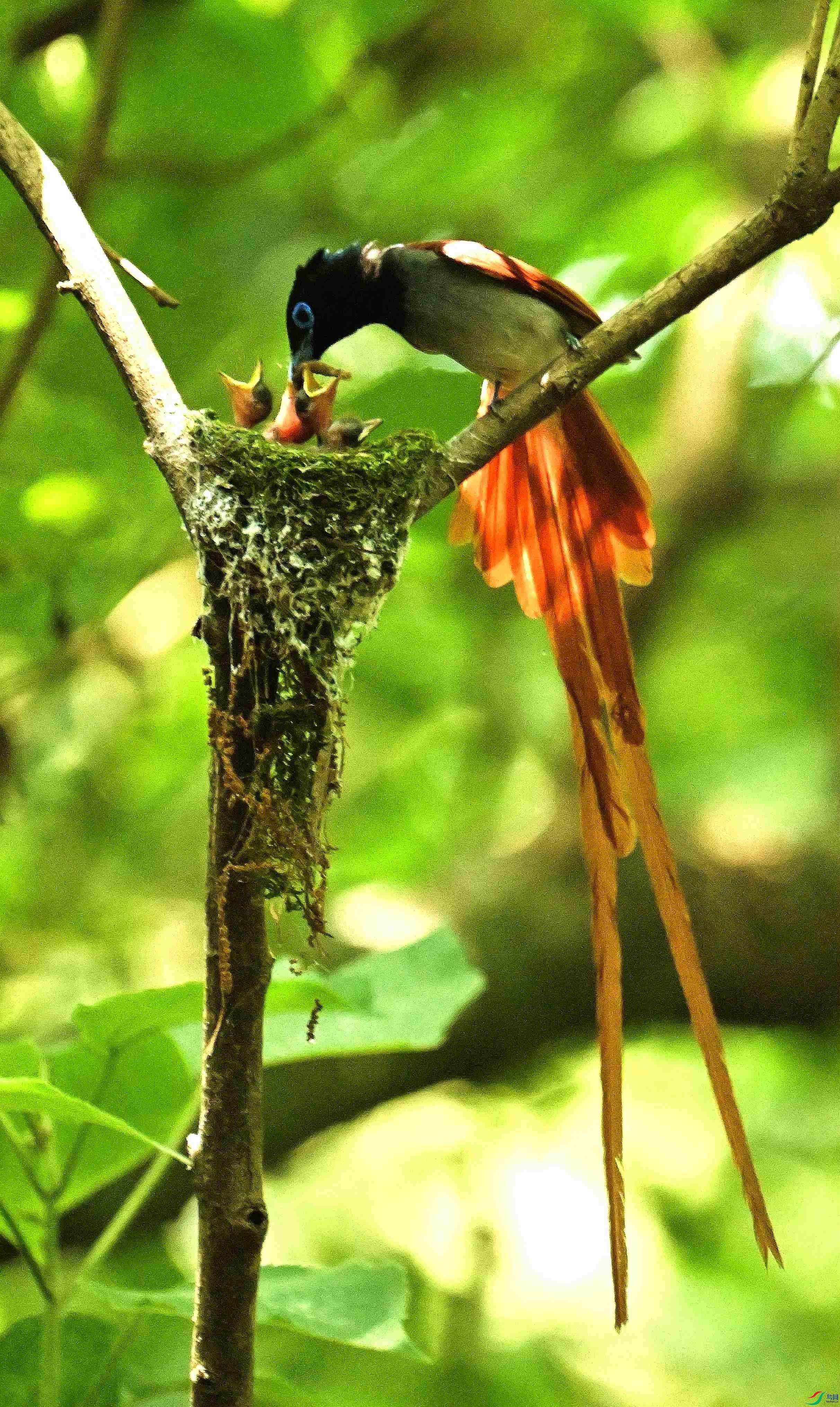DSC_2037.JPG