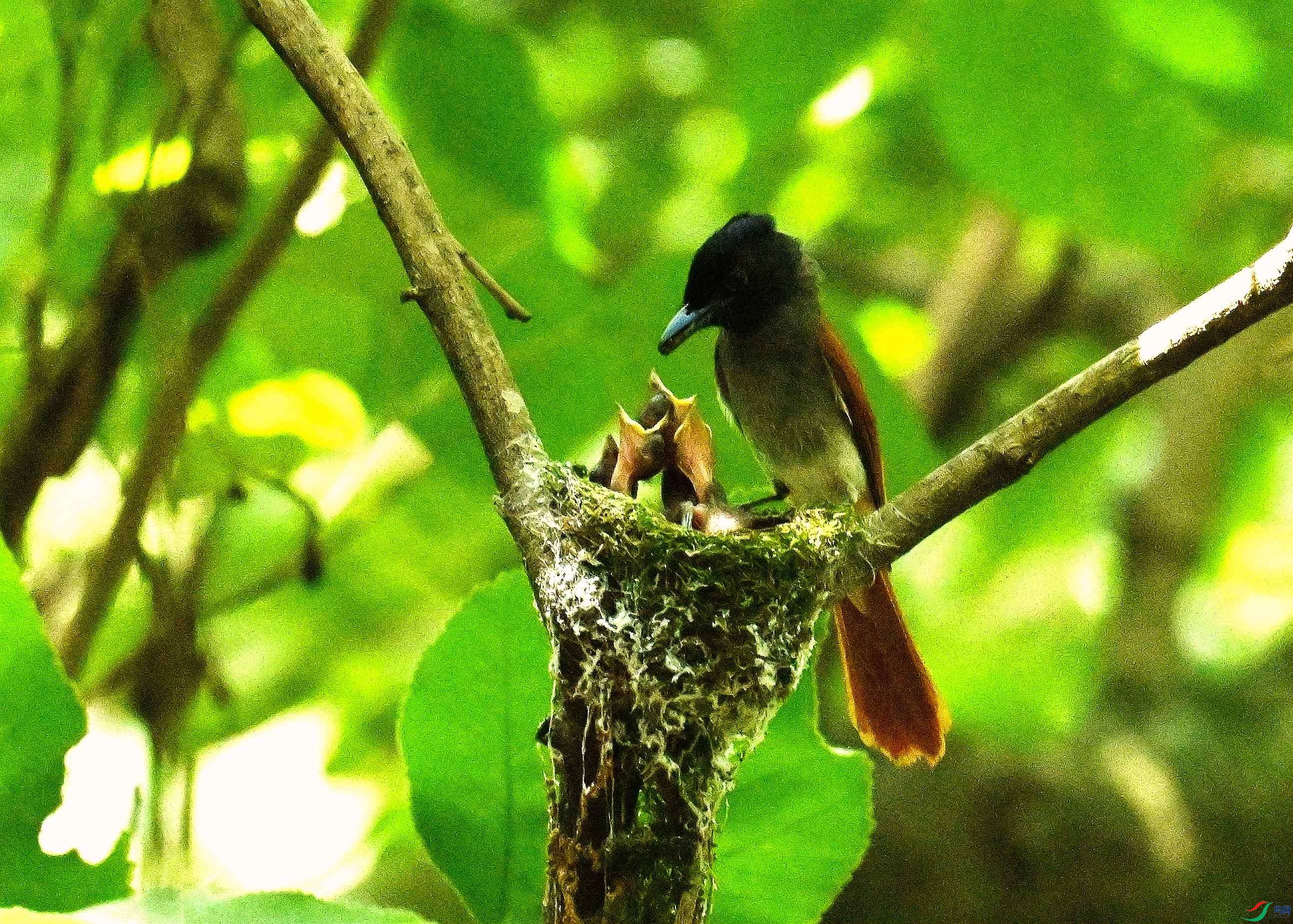 DSC_1849.JPG