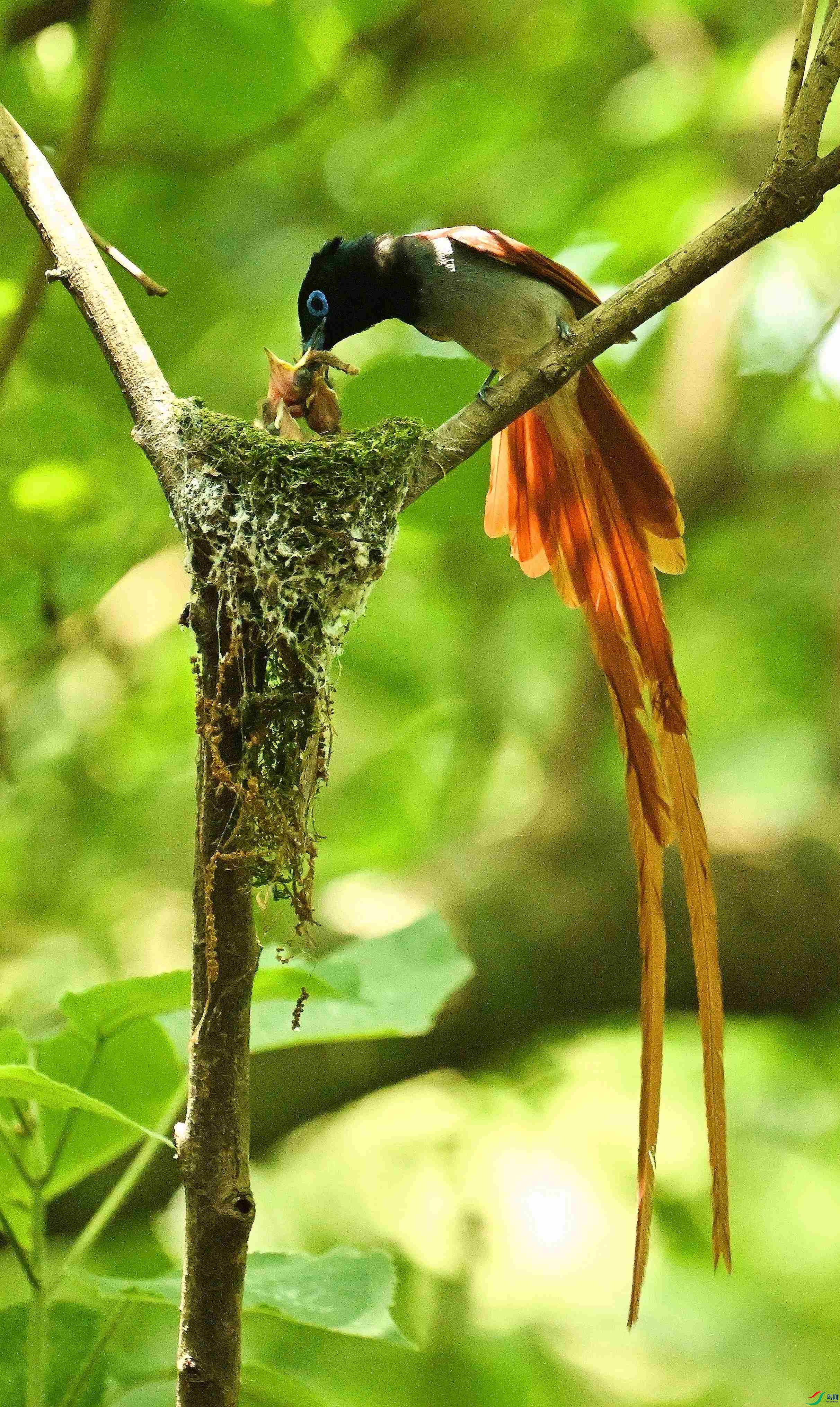 DSC_2052.JPG