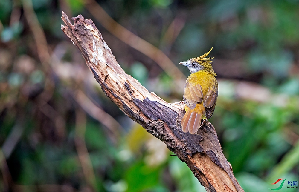 _GD_2178 - ����.jpg