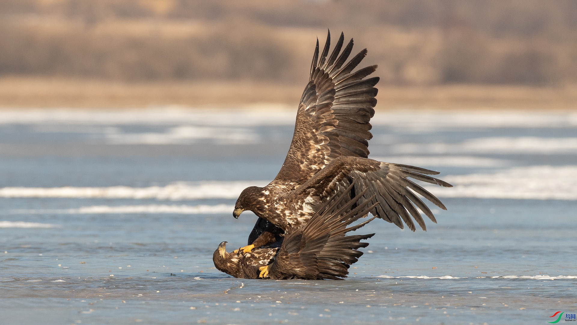 IMG_1744 ����.jpg