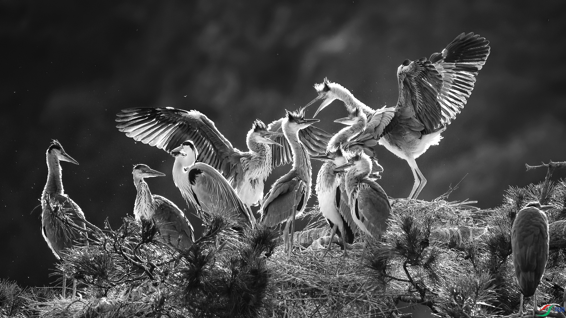 DSC_5869-20251211�� .jpg