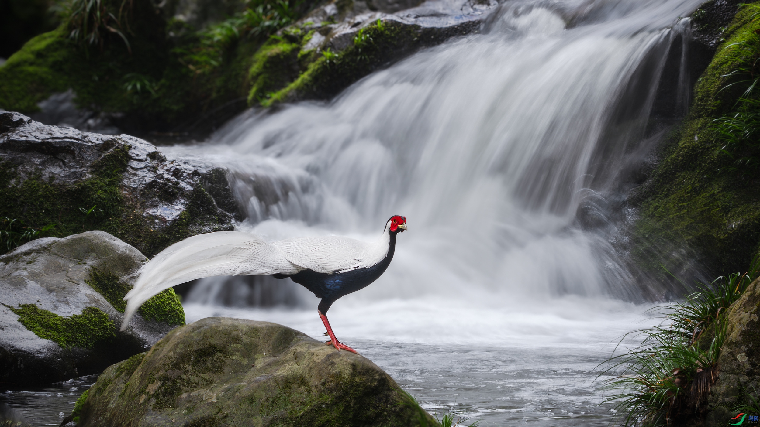 _DSC1889 (2) ����.jpg