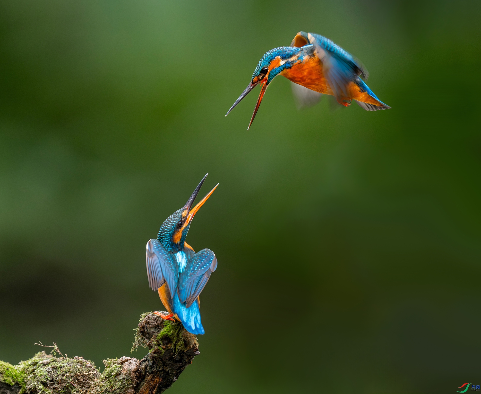 DSC03359 ����-topaz_����.jpg