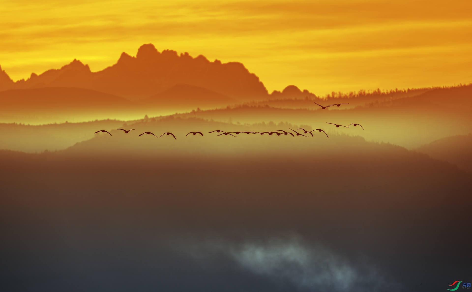 ���ڳ���