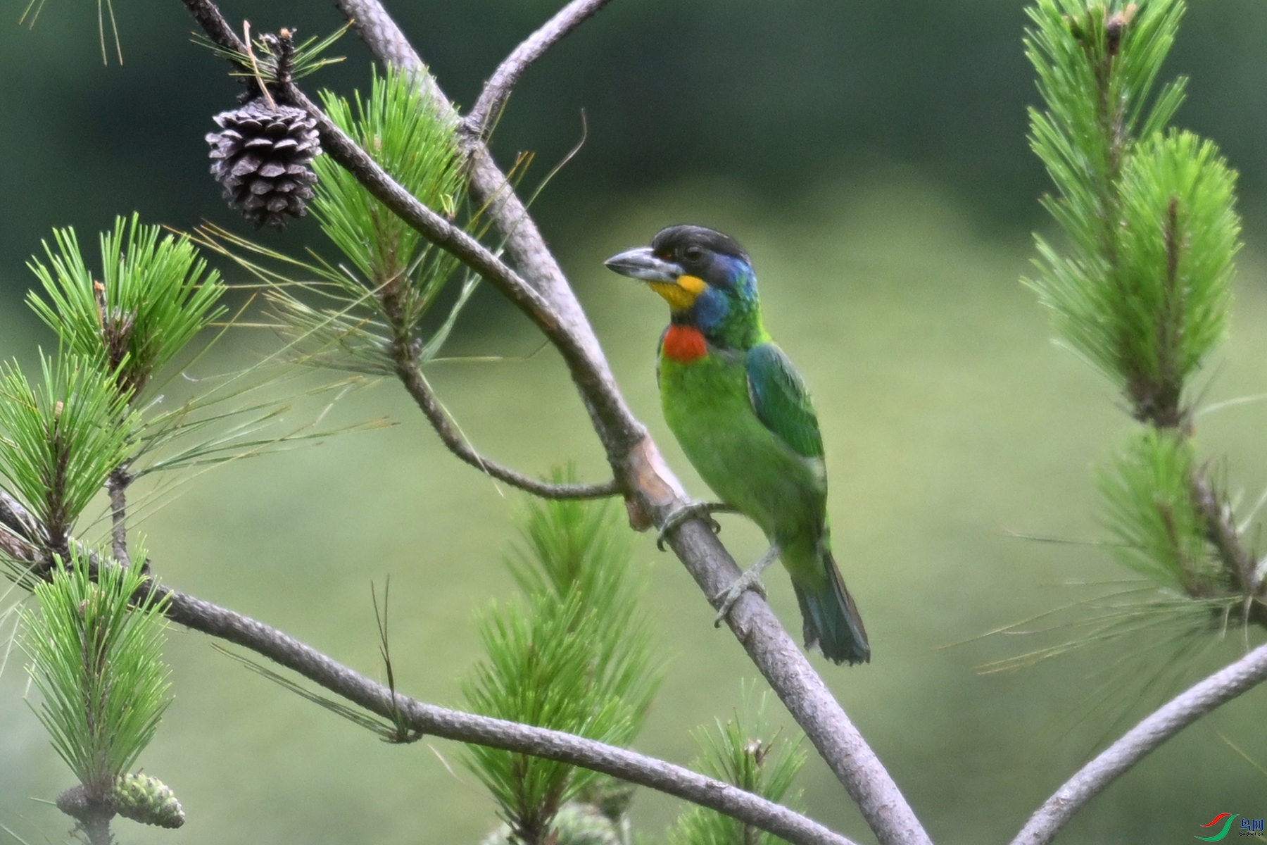 DSC_1635.JPG