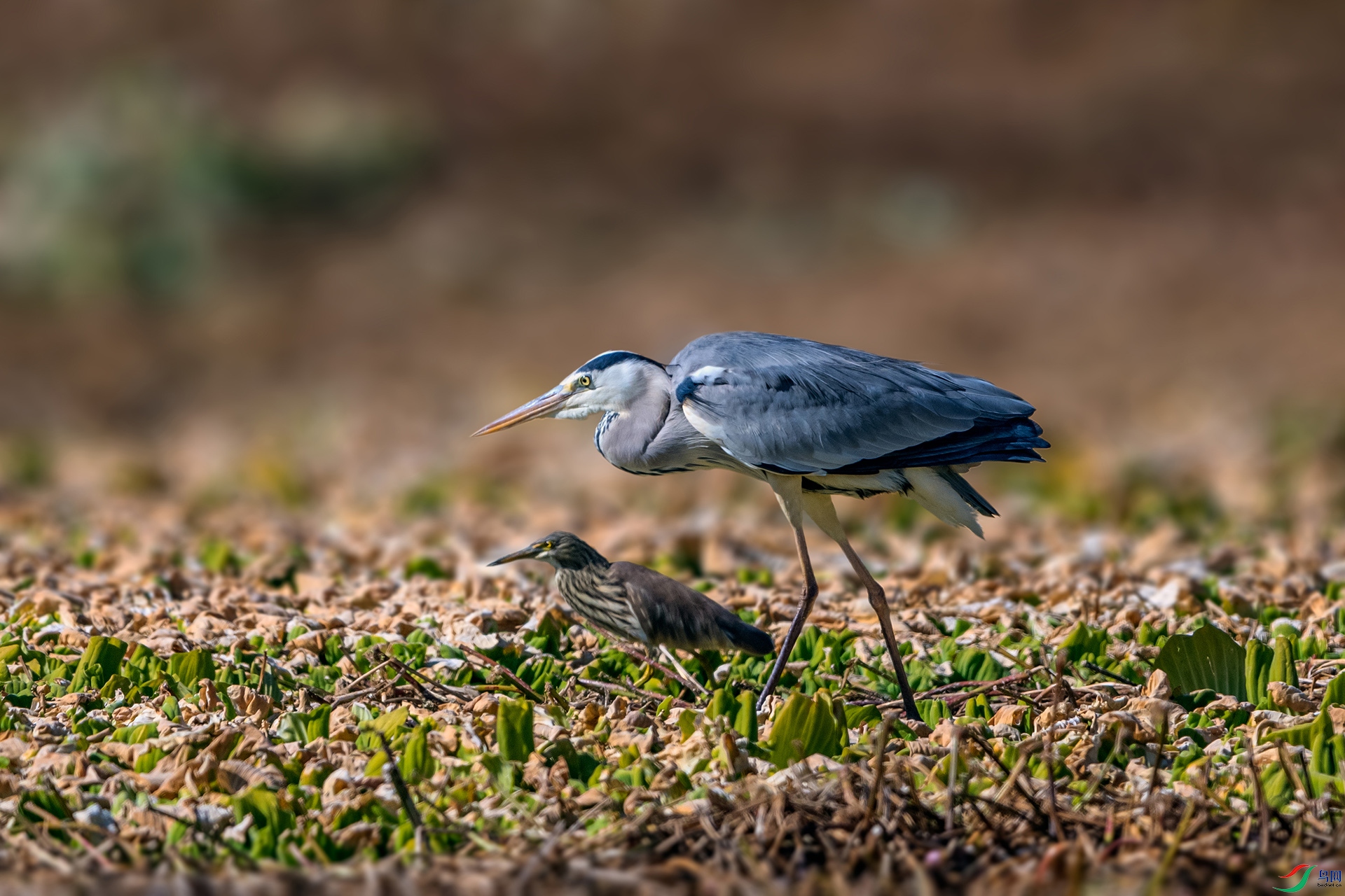 _AUU3257 Ŀ��һ��(25.12.10).jpg