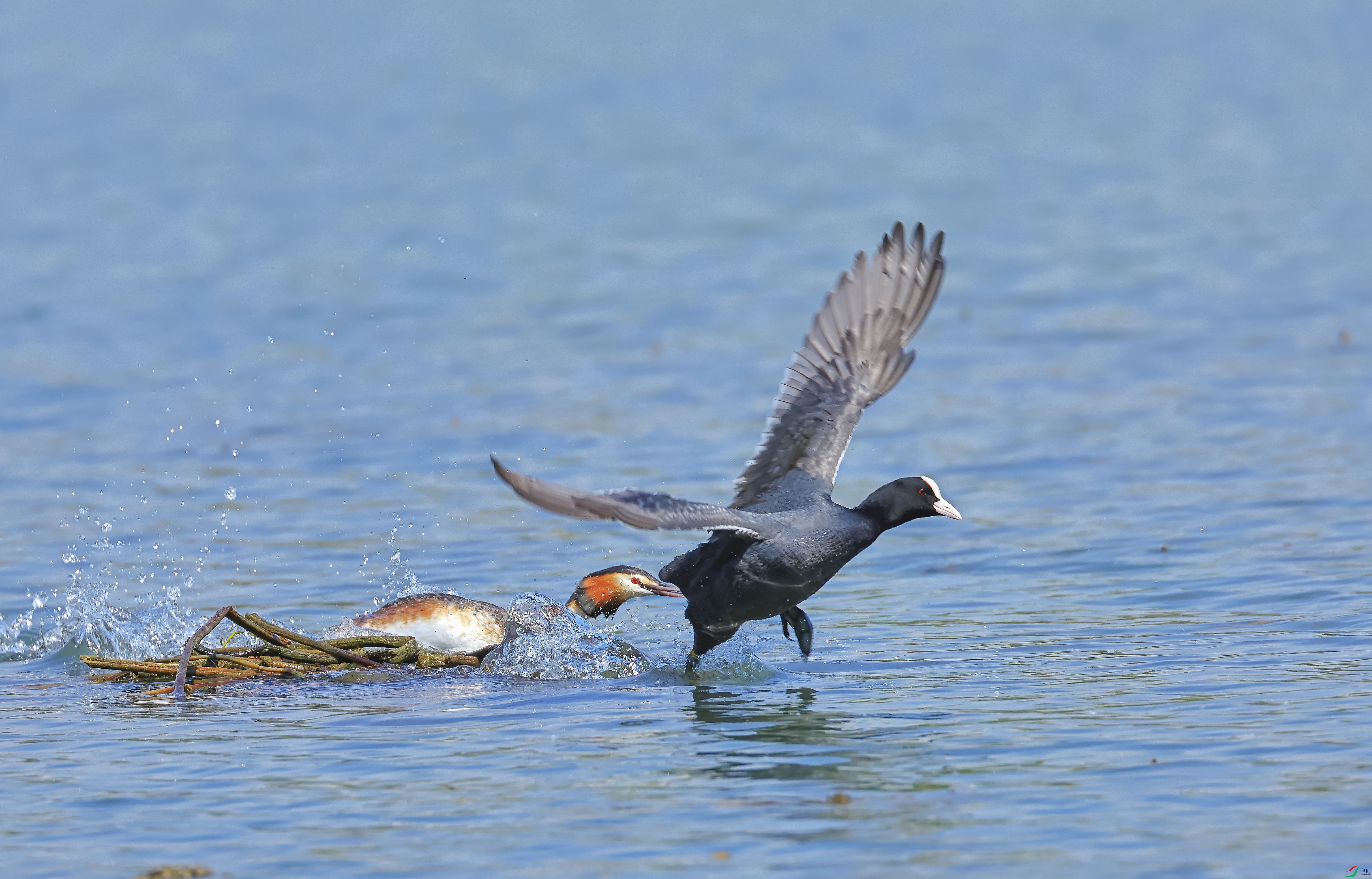 L10A0238 ����.jpg