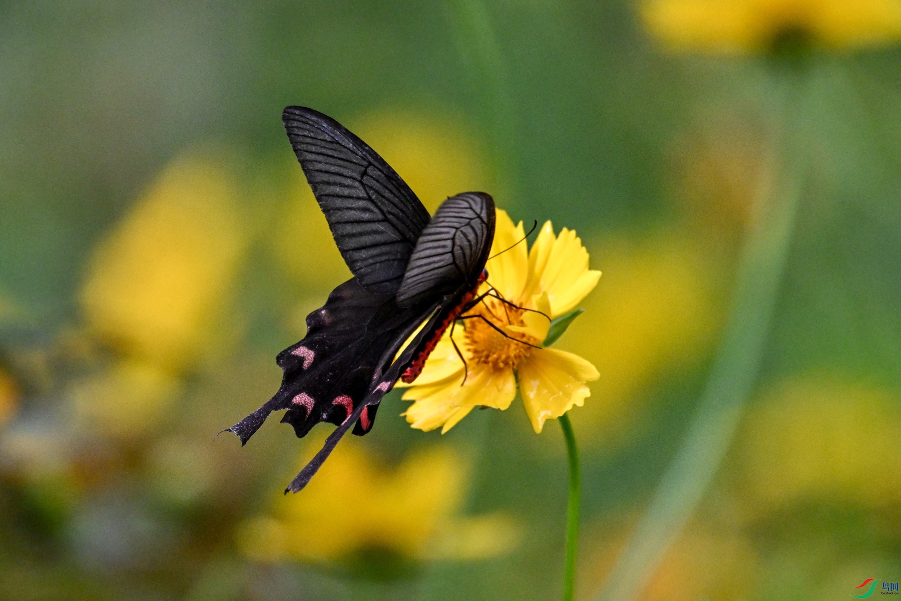 DSC_2102.JPG